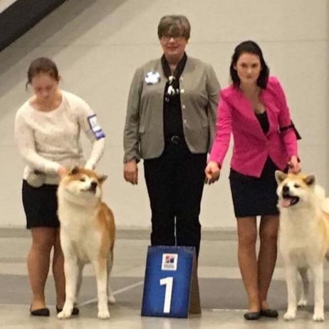 2016. SHIOMARU Shiba and Akita Inu Kennel