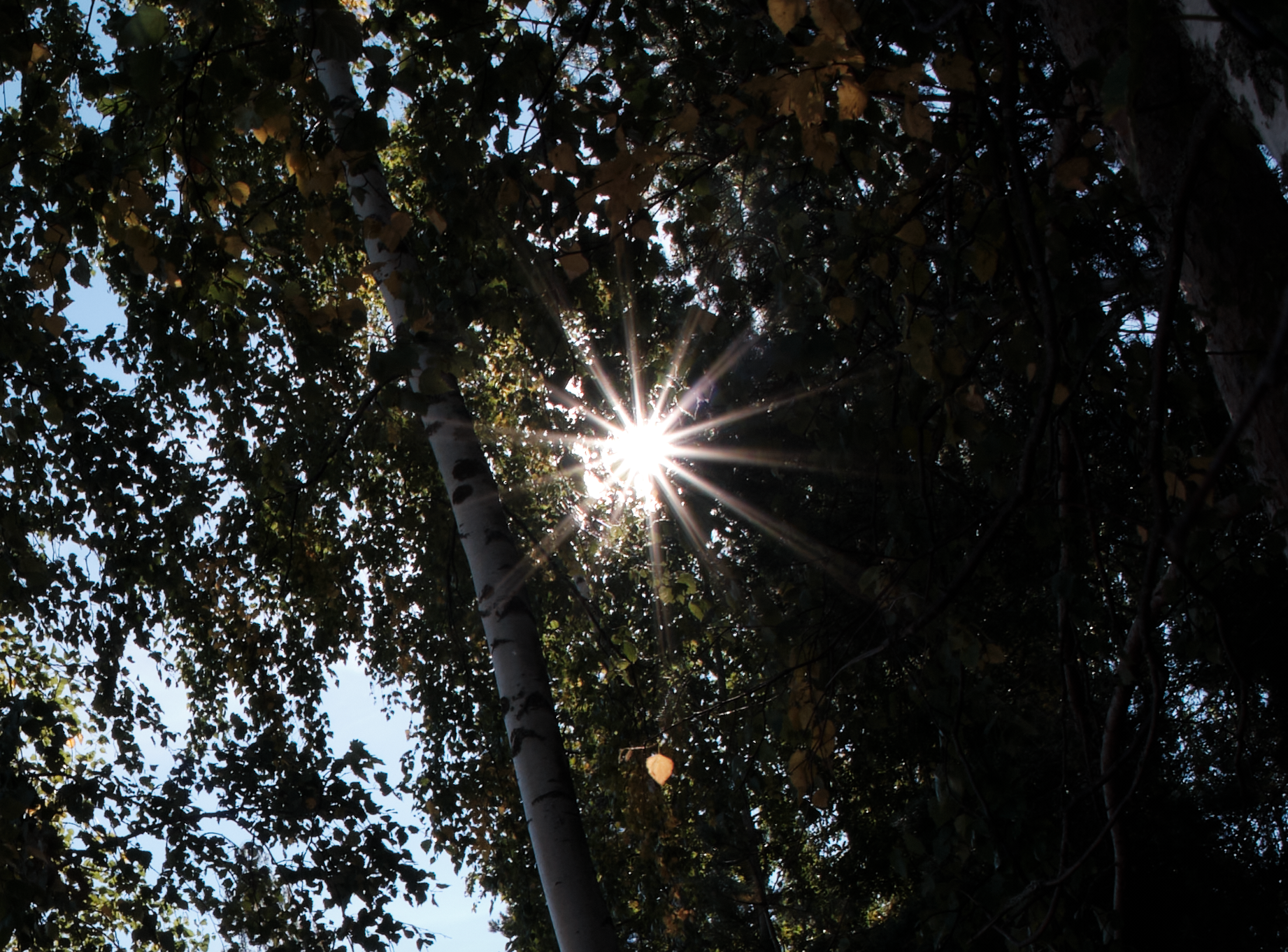 Сравнение объективов 7artisans 7,5/f2.8 и TTArtisan 7,5/f2.0. Фотограф Константин Шамин