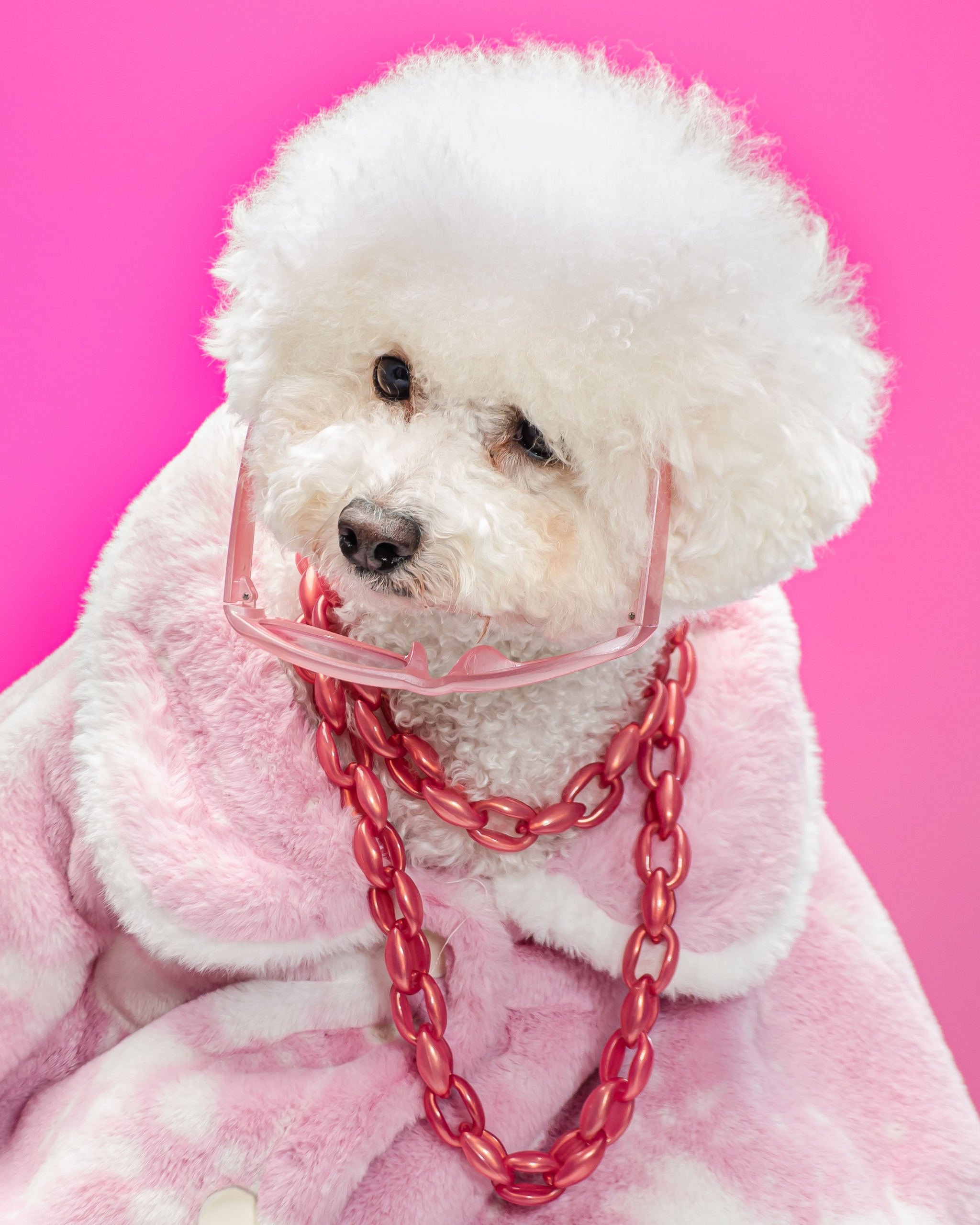 Фотограф в Балашихе, Москве