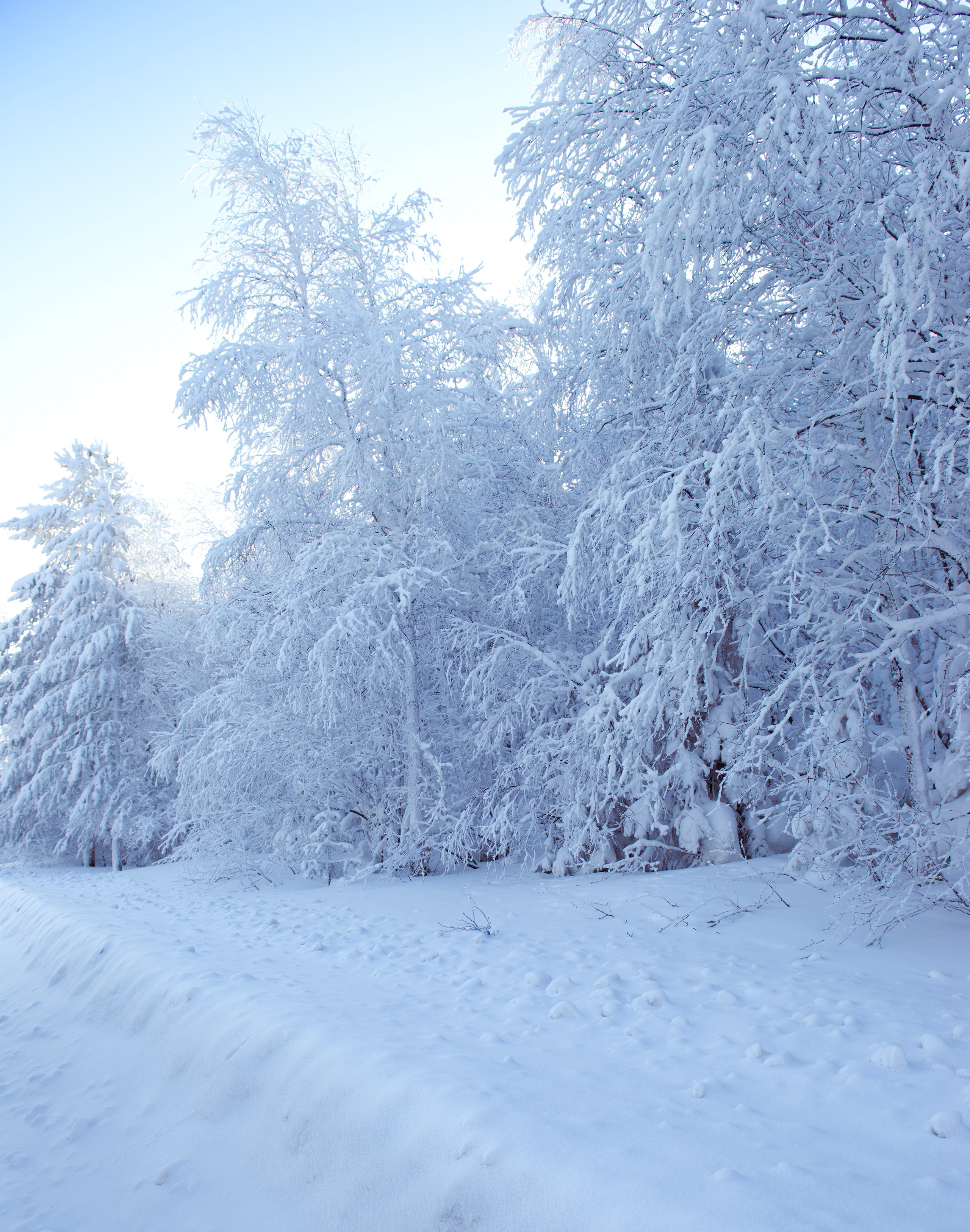 Немного зимы. Профессиональная Ретушь | Ретушер и предметный фотограф Алла Белова