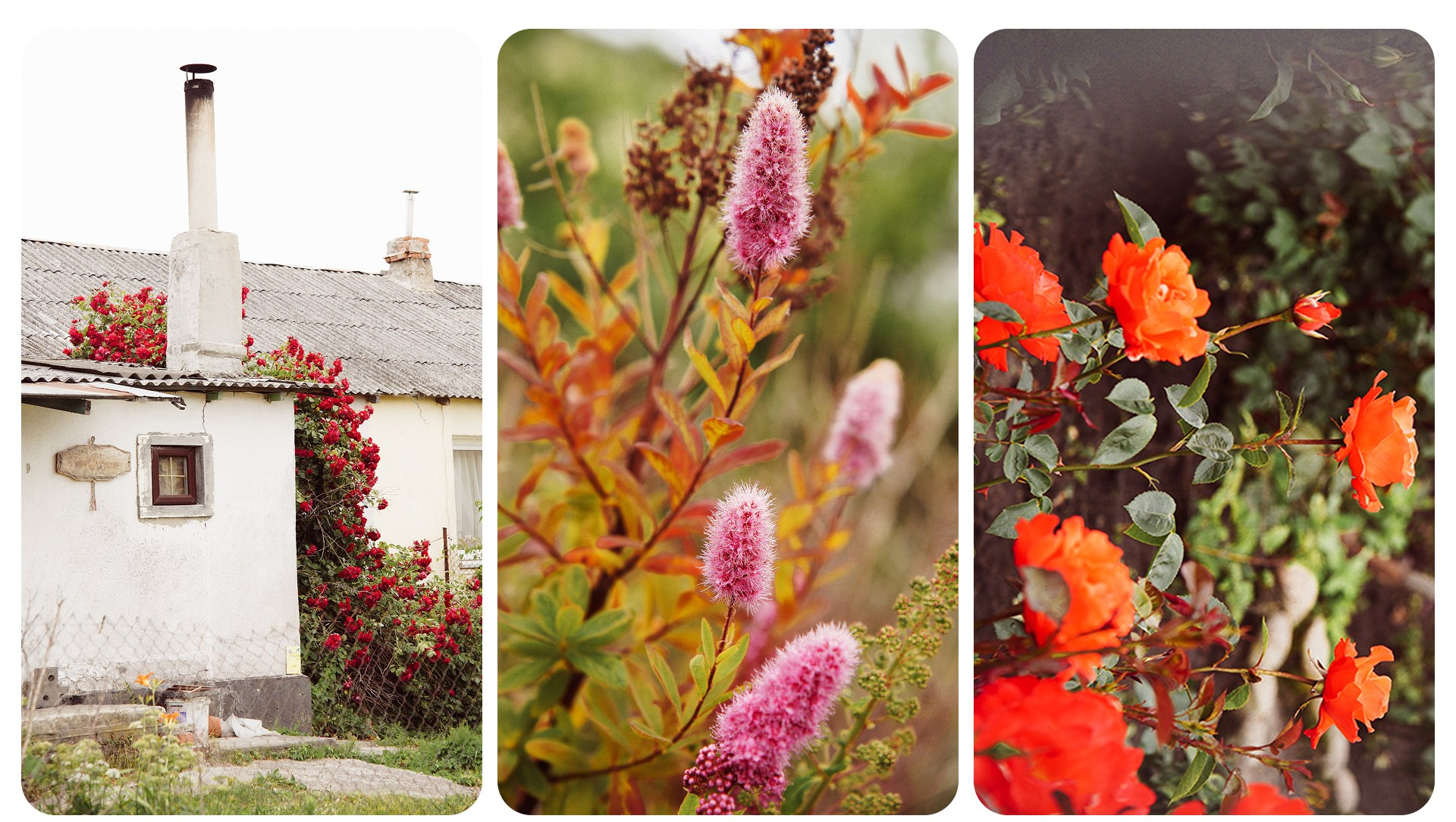 Калининград 1. Фотограф из Москвы — DASHA NOVA | Авторская фотография в разных жанрах