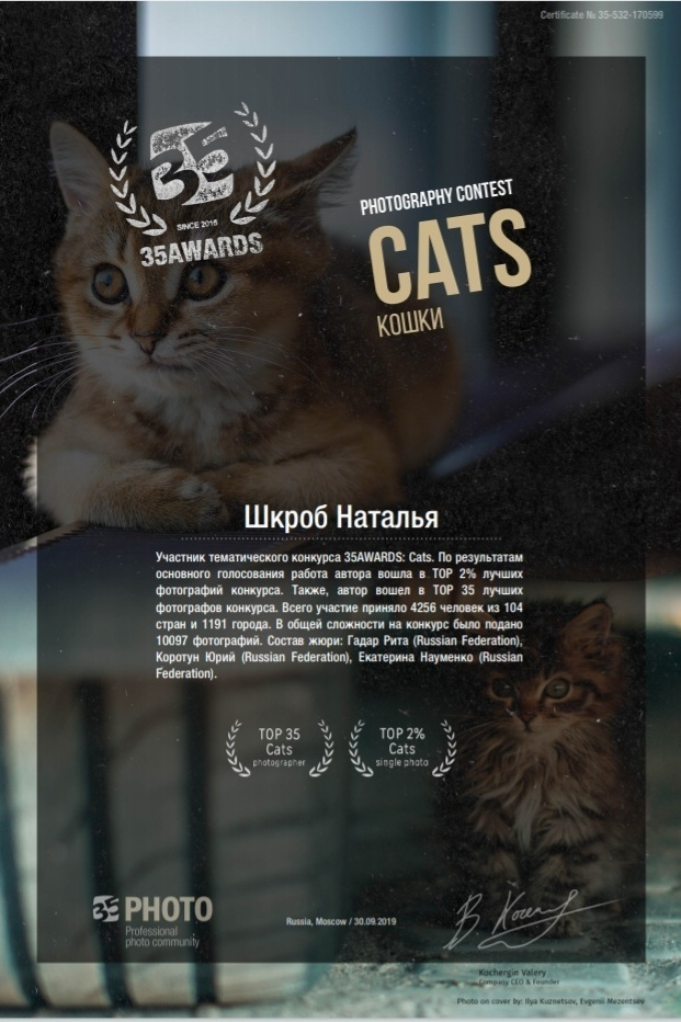 Дипломы и сертификаты. Фотоцентр Перспектива: выпускные альбомы, фотошкола, курсы фотографии