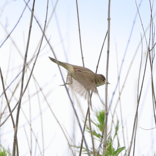 Большой уикенд. Суббота