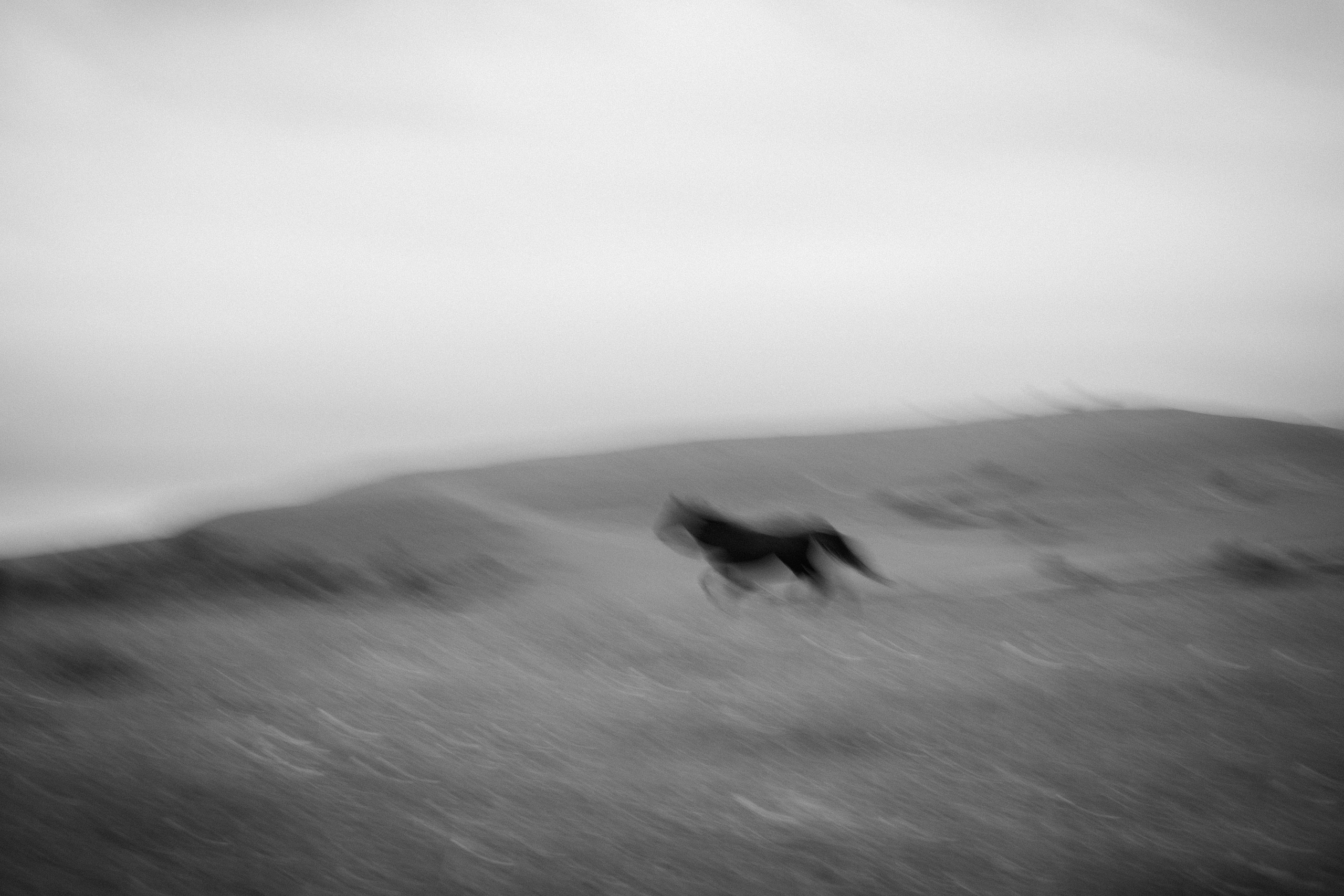 Ремизова Татьяна. ARTEXPOPHOTO