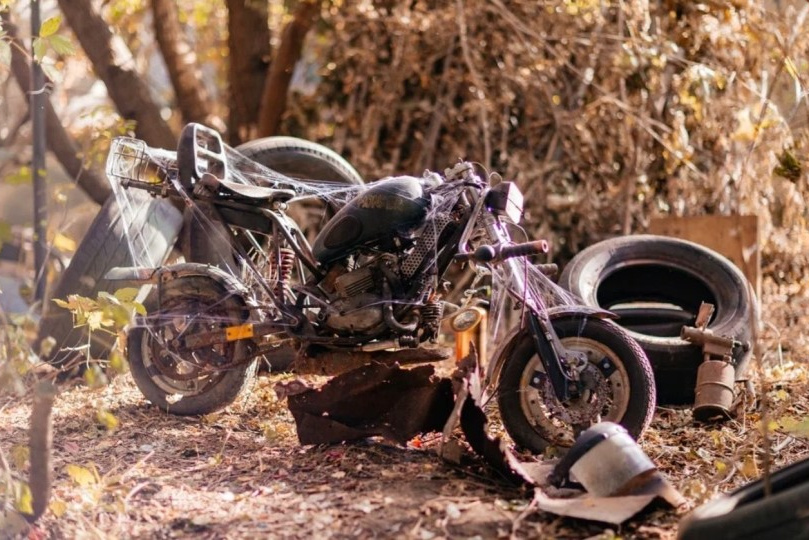 Загородные фотостудии. Фото Радости. Свадебный и семейный фотограф в Москве Юлия Самойлова