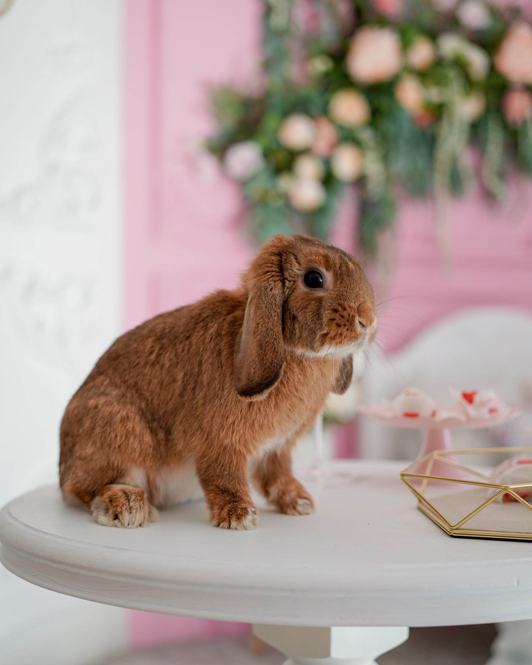 Весенний проект