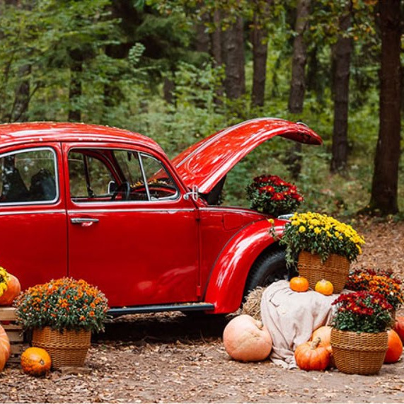 Фотостудии Минска. Свадебная, репортажная фотосъемка и видеосъемка в Минске. Илья и Юлия Ширмановы. Фотограф | Видеограф | Минск