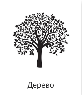 Пг, Тиснение, искуст.кожа, техн. Фотограф Ольга Молева