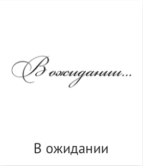 Пг, Тиснение, искуст.кожа, техн. Фотограф Ольга Молева