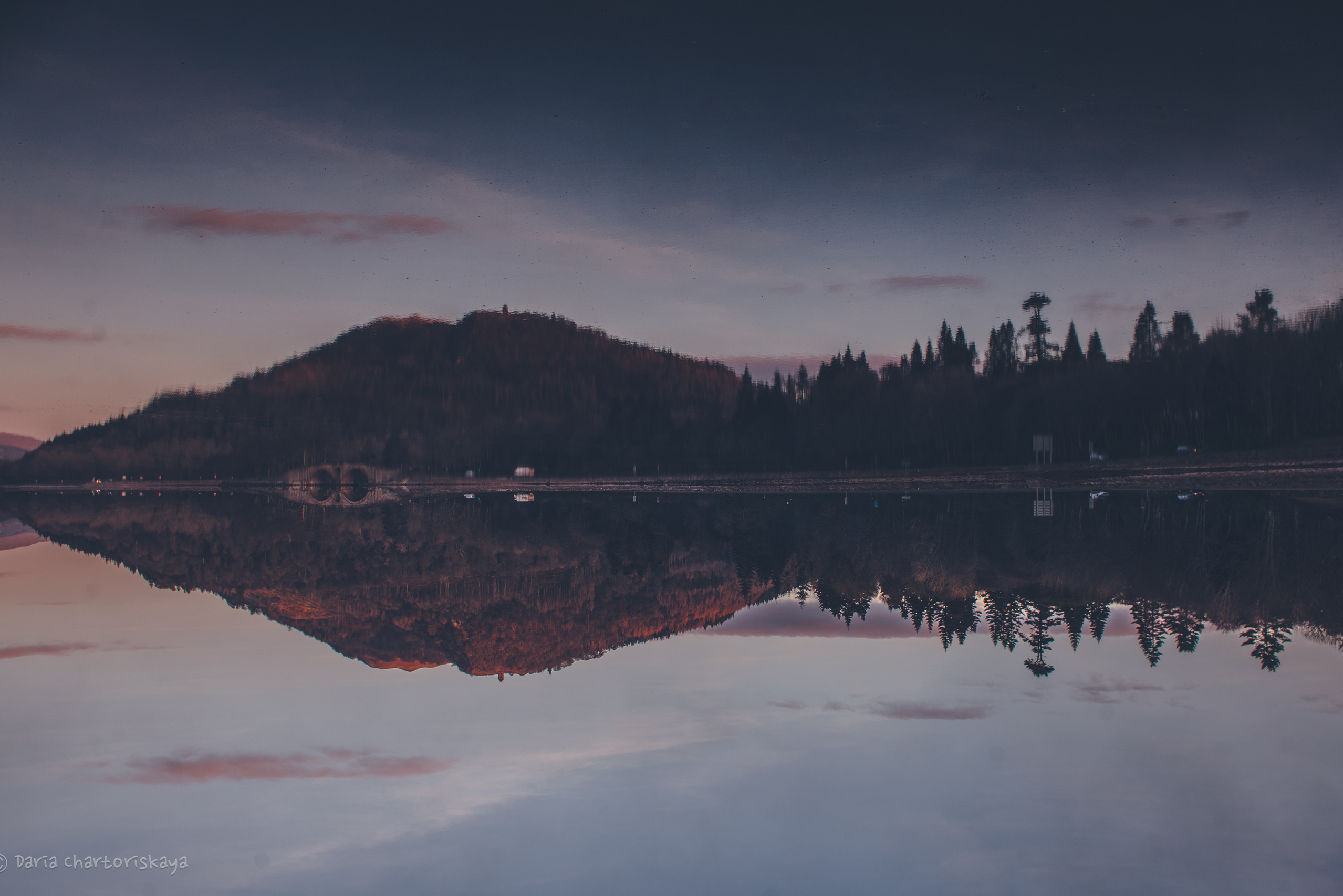 Дарья Чарторийская — режиссер, продюсер, фотограф, художник, журналист, клинический психолог