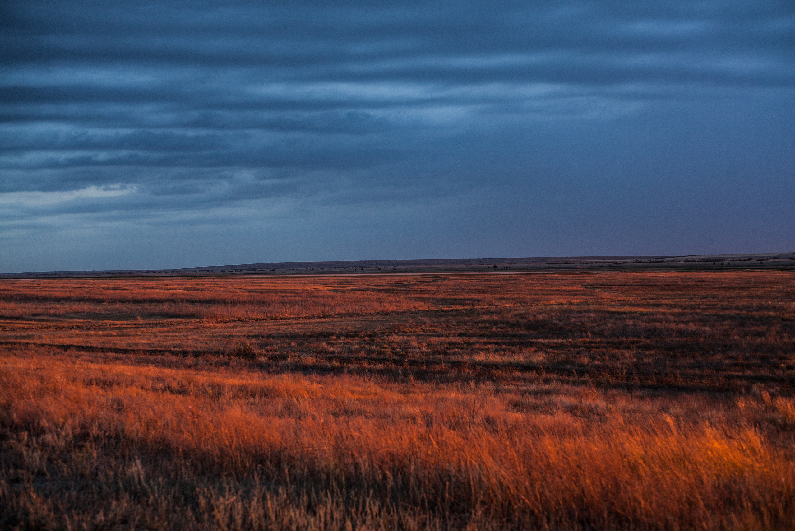 Дарья Чарторийская — режиссер, продюсер, фотограф, художник, журналист, клинический психолог