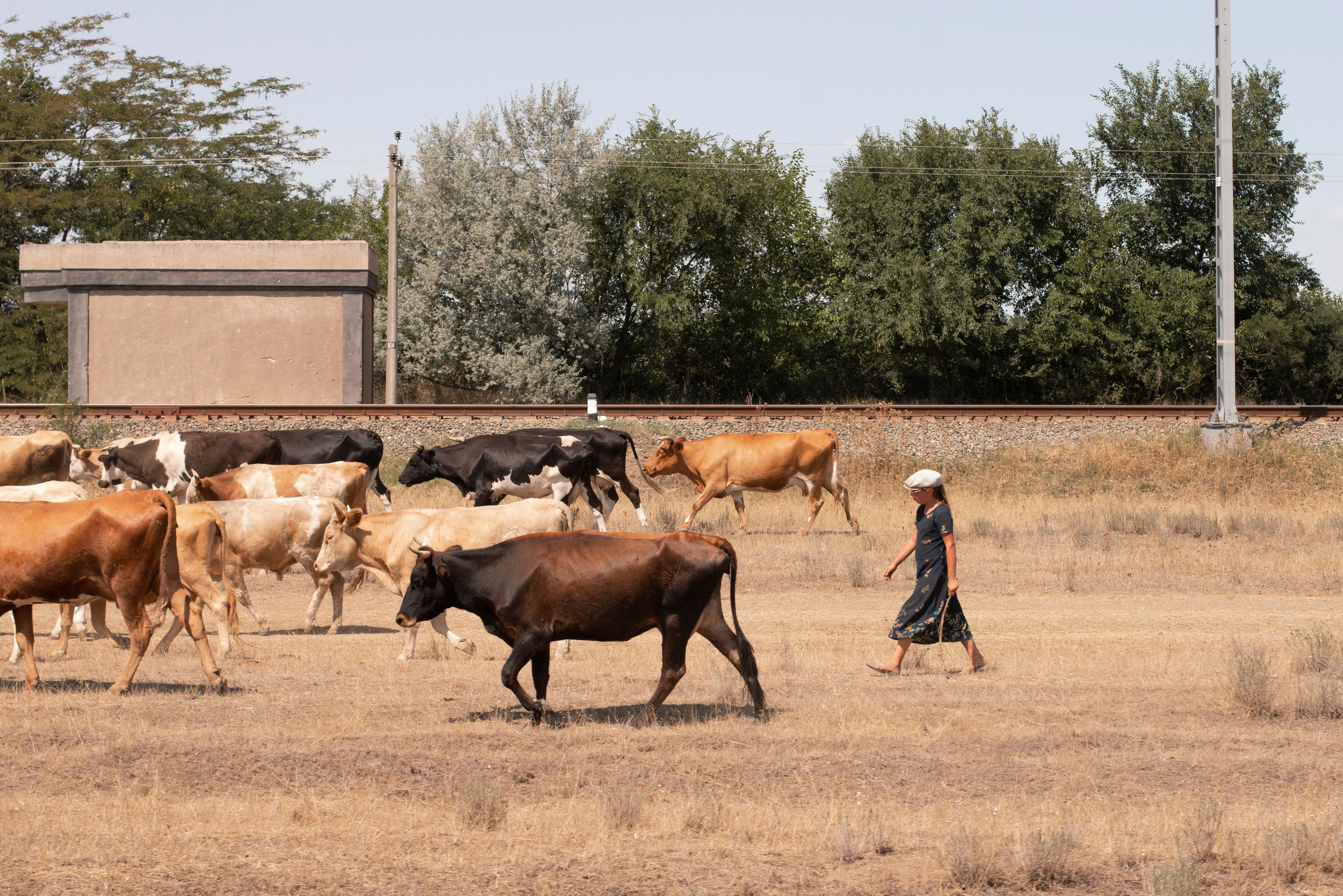 Замечаю жизнь. 2022. Фотограф Злата Спицына