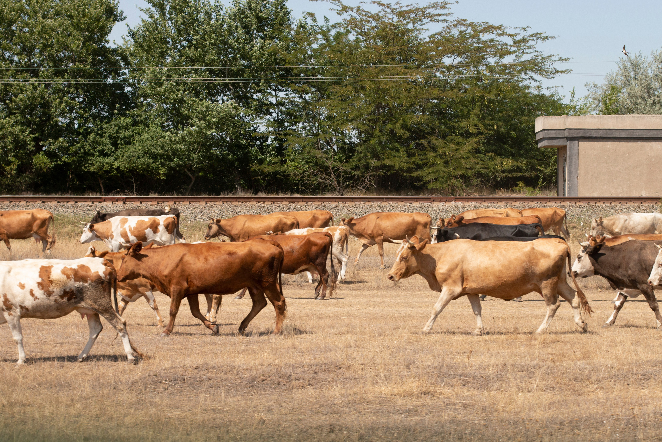 Замечаю жизнь. 2022. Фотограф Злата Спицына