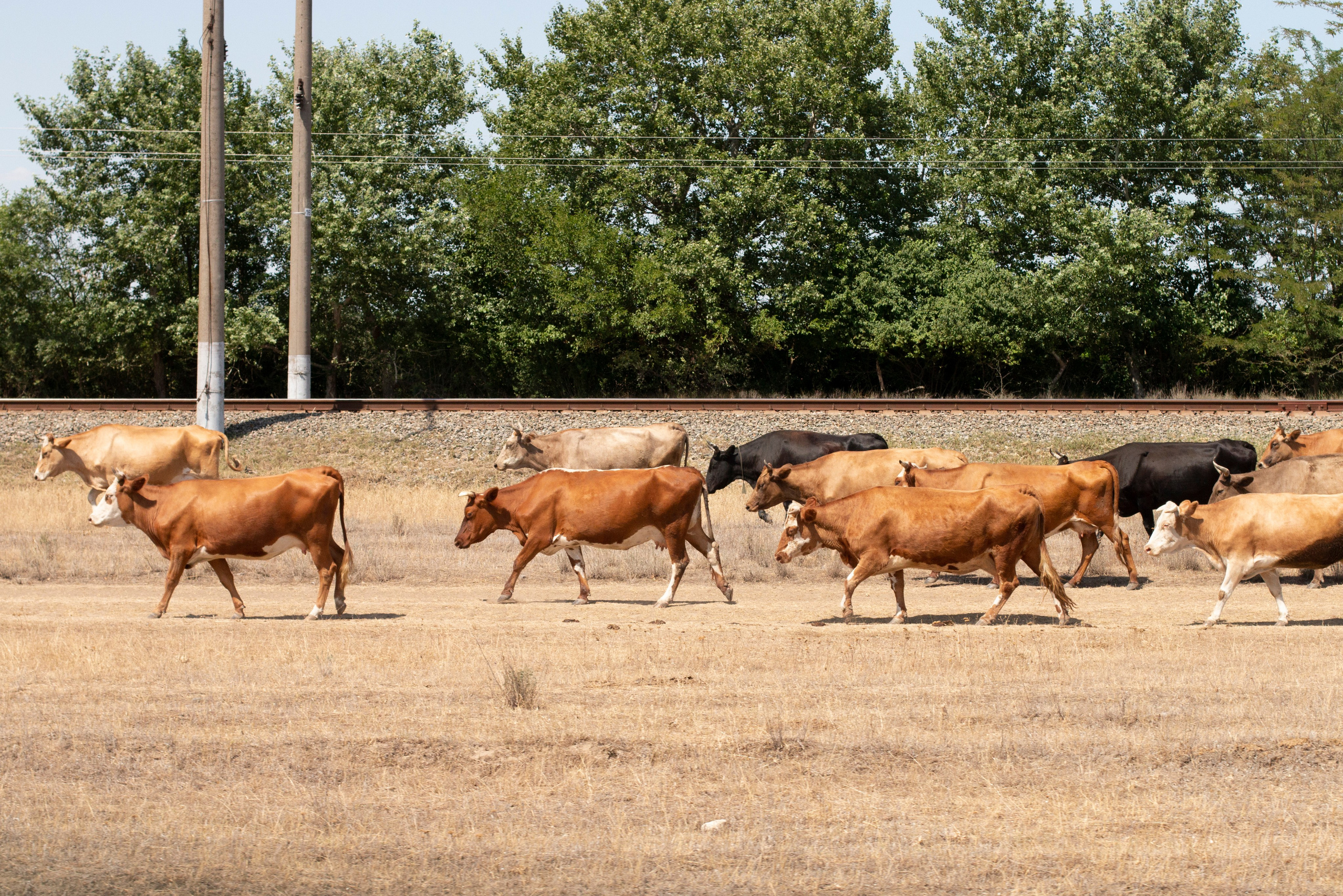 Замечаю жизнь. 2022. Фотограф Злата Спицына