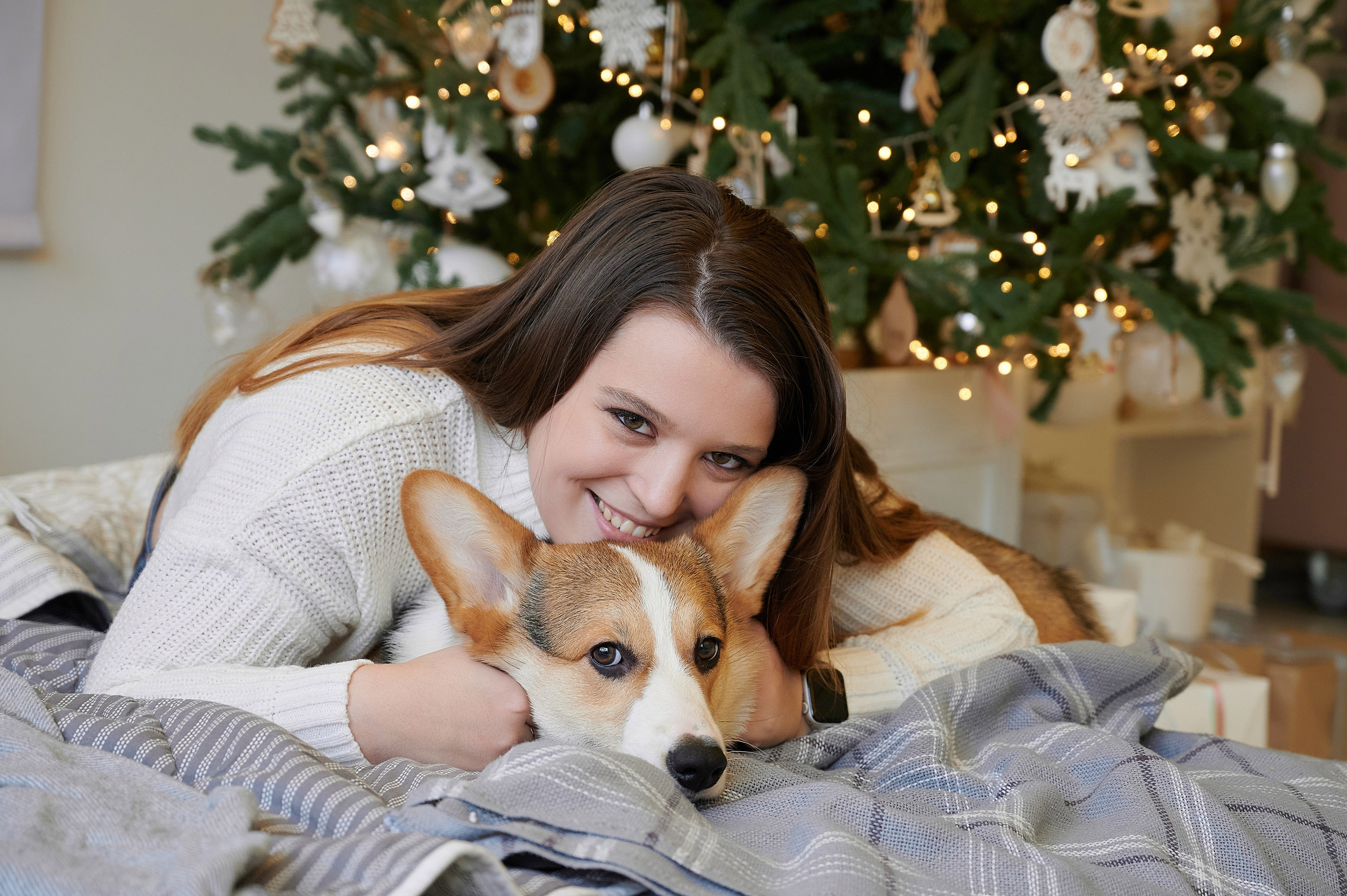 Идеи фотосессии с кошкой в студии и дома — фотограф животных СПб