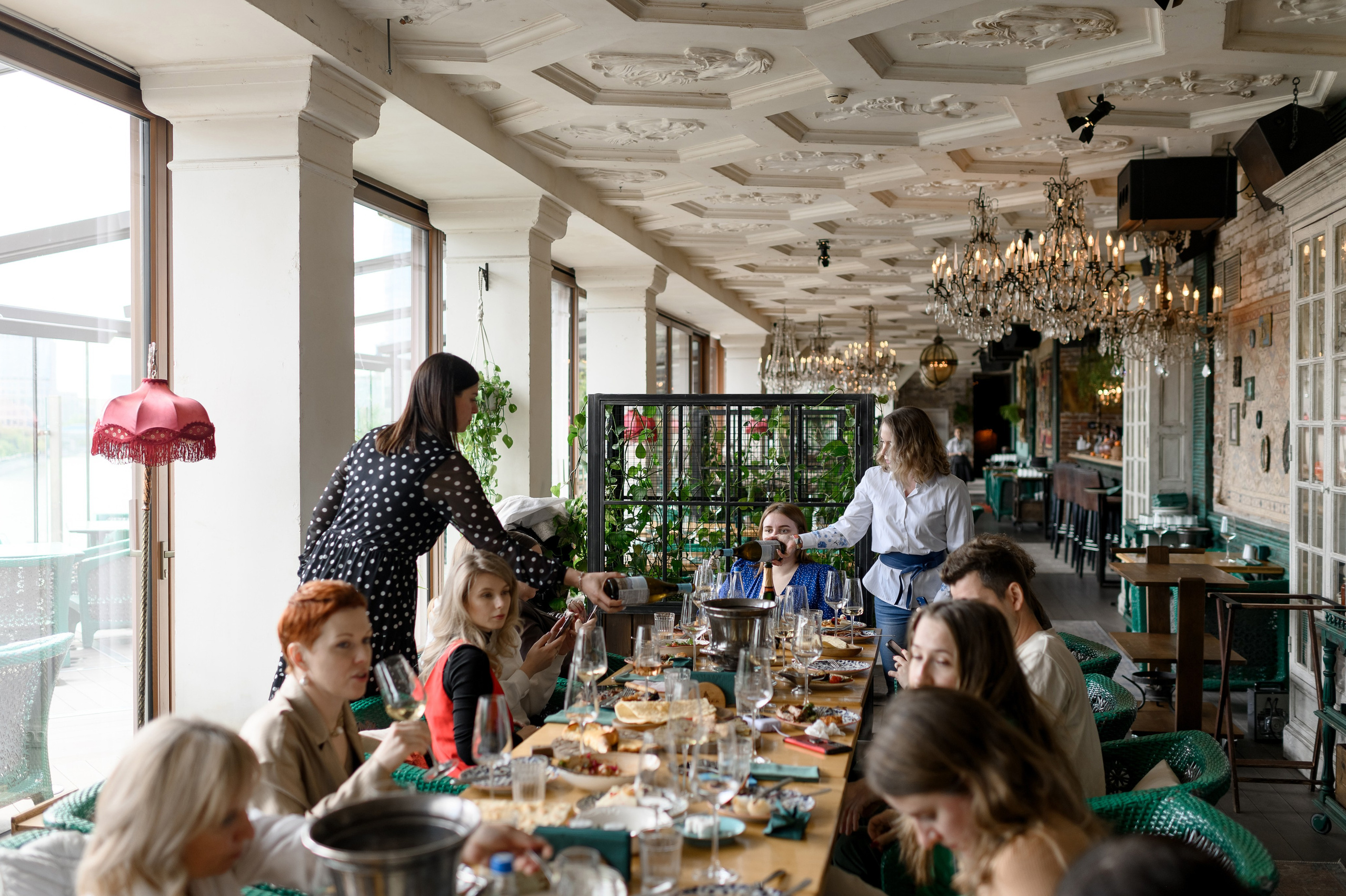 корпоративная дегустация вин стоимость