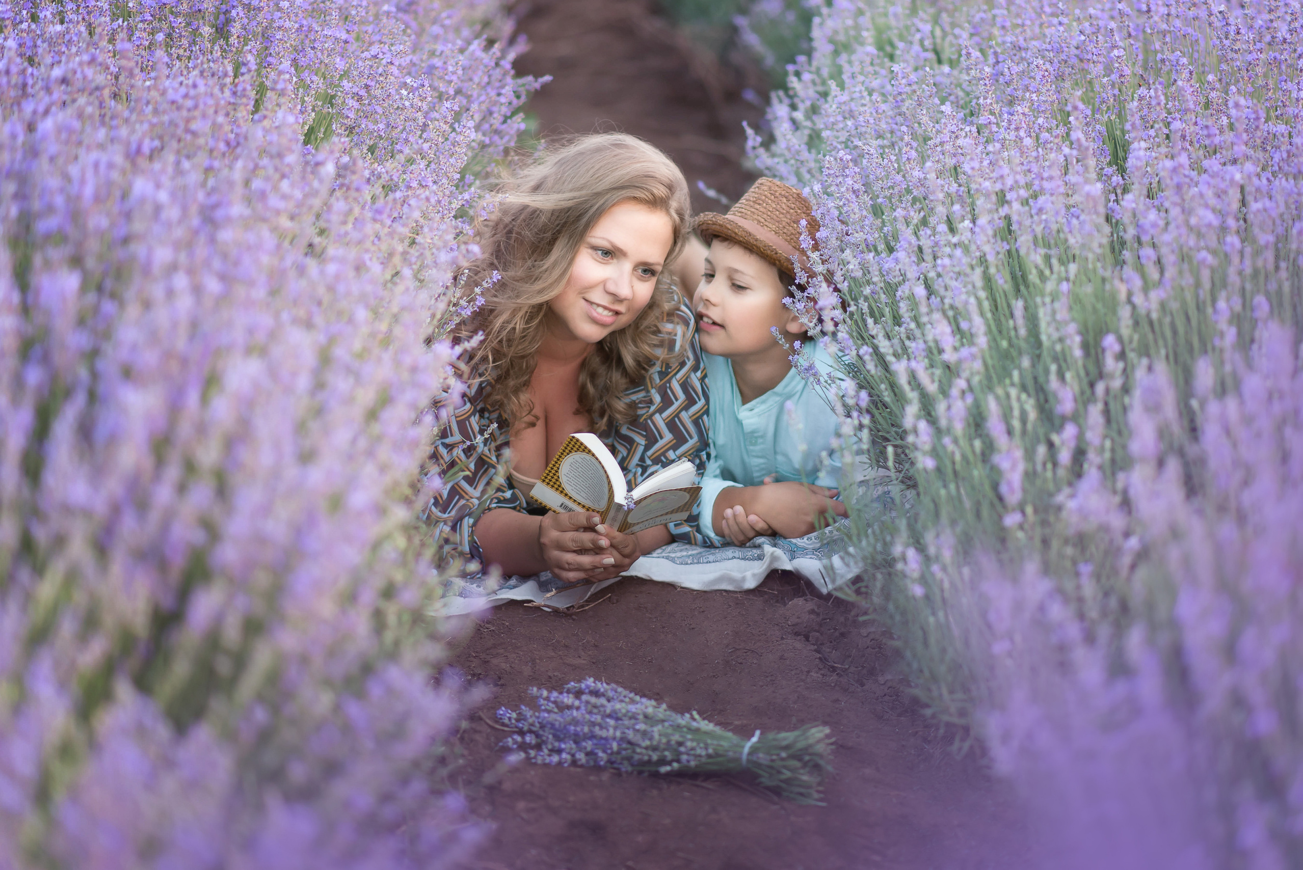 Лавандула в България. Фотограф в Болгарии. Фотограф в Созополе