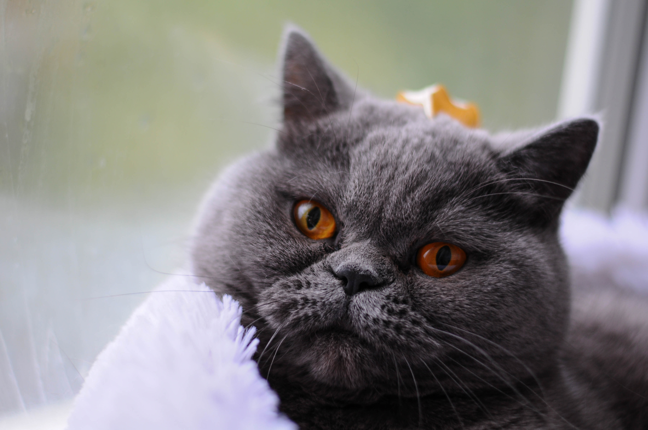 Услуги. Семейный и детский фотограф в Екатеринбурге Наталия Акимова