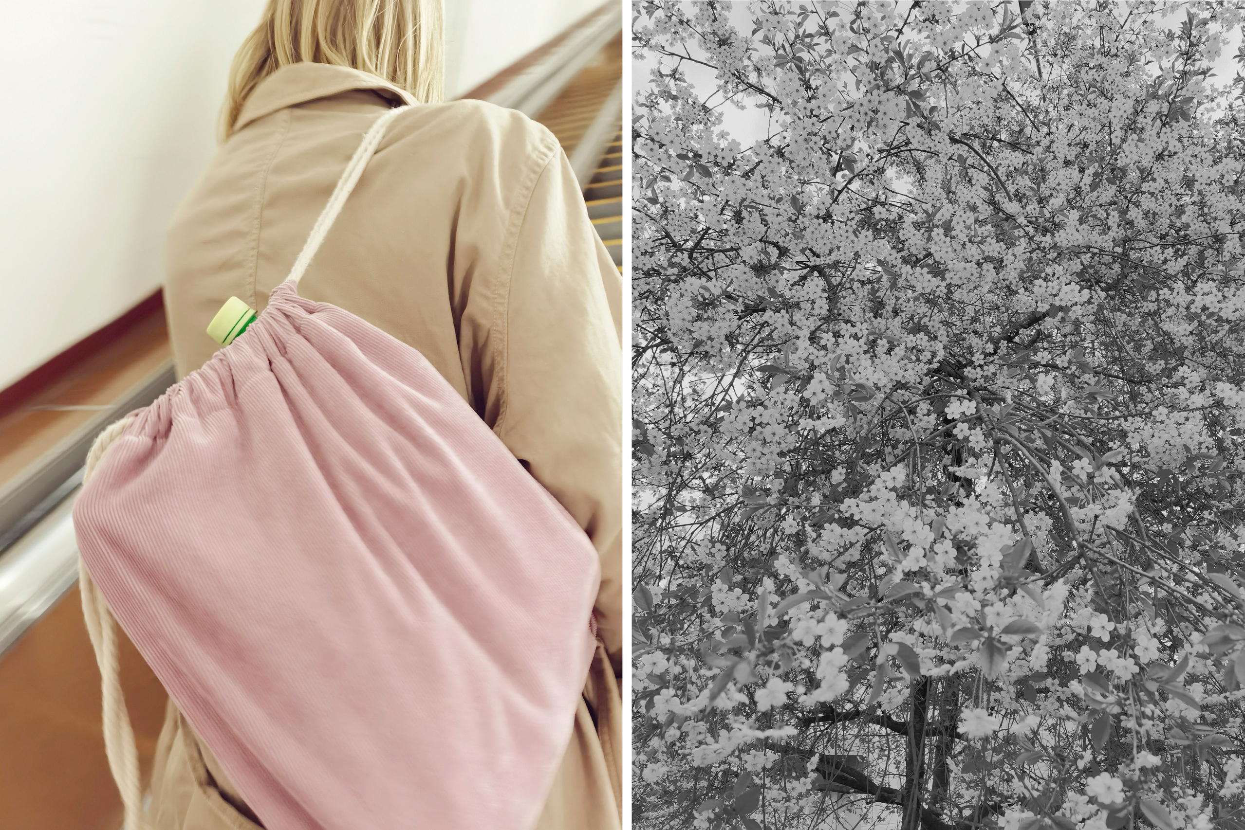 Принты, коллажи, фотографии. Фотограф Татьяна Байкова — официальный сайт