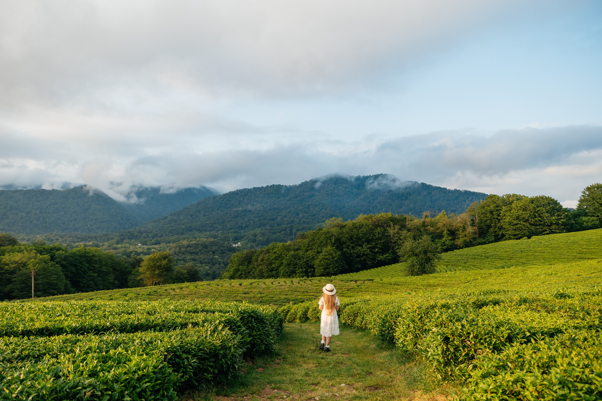 Локации Сочи. Фотограф в Сочи. Свадебная видеосъемка Сочи