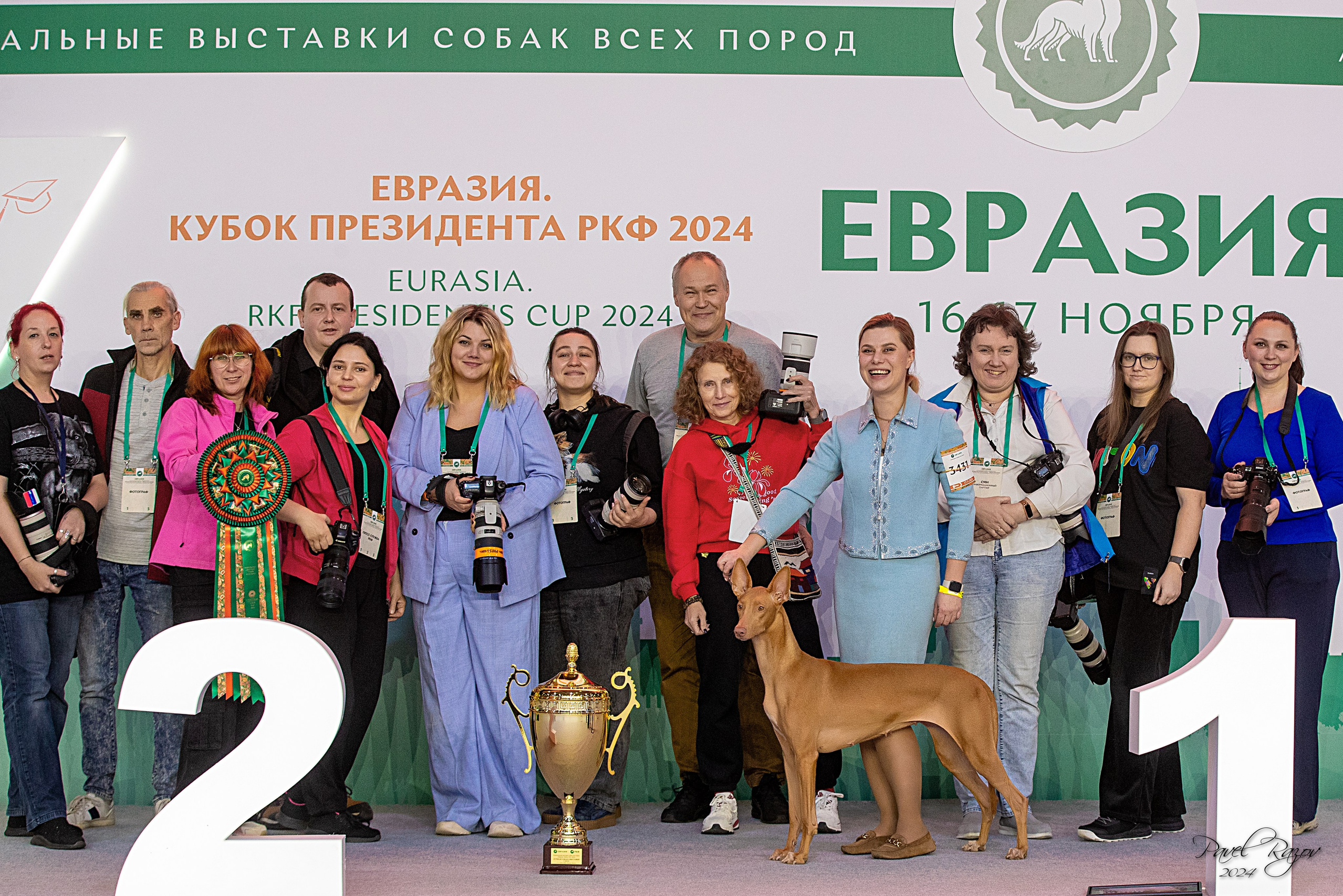 ✅ О СЕБЕ. Фотограф анималист Елена Галдина г. Красноярск