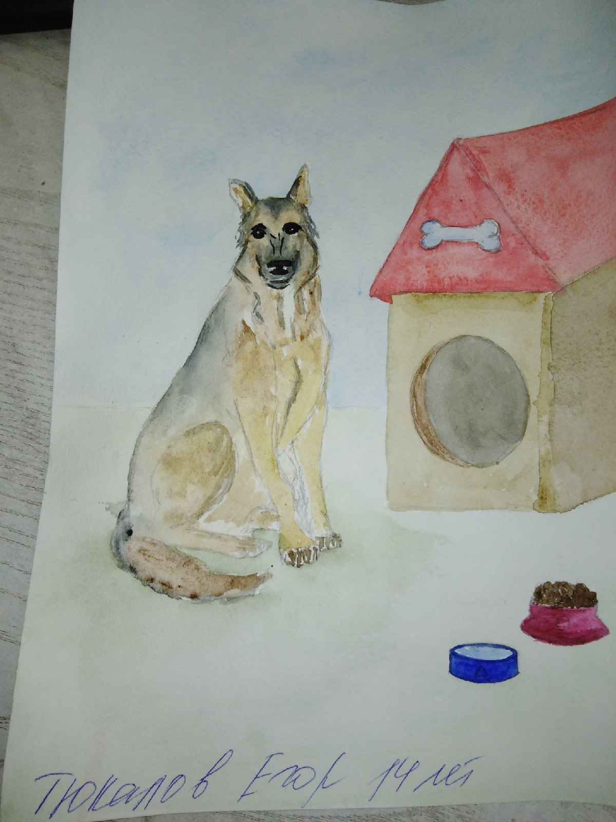 КОНКУРС ДЛЯ ЮНЫХ СОБАКОВОДОВ!!!. НРОО КЦ "Собаковод"