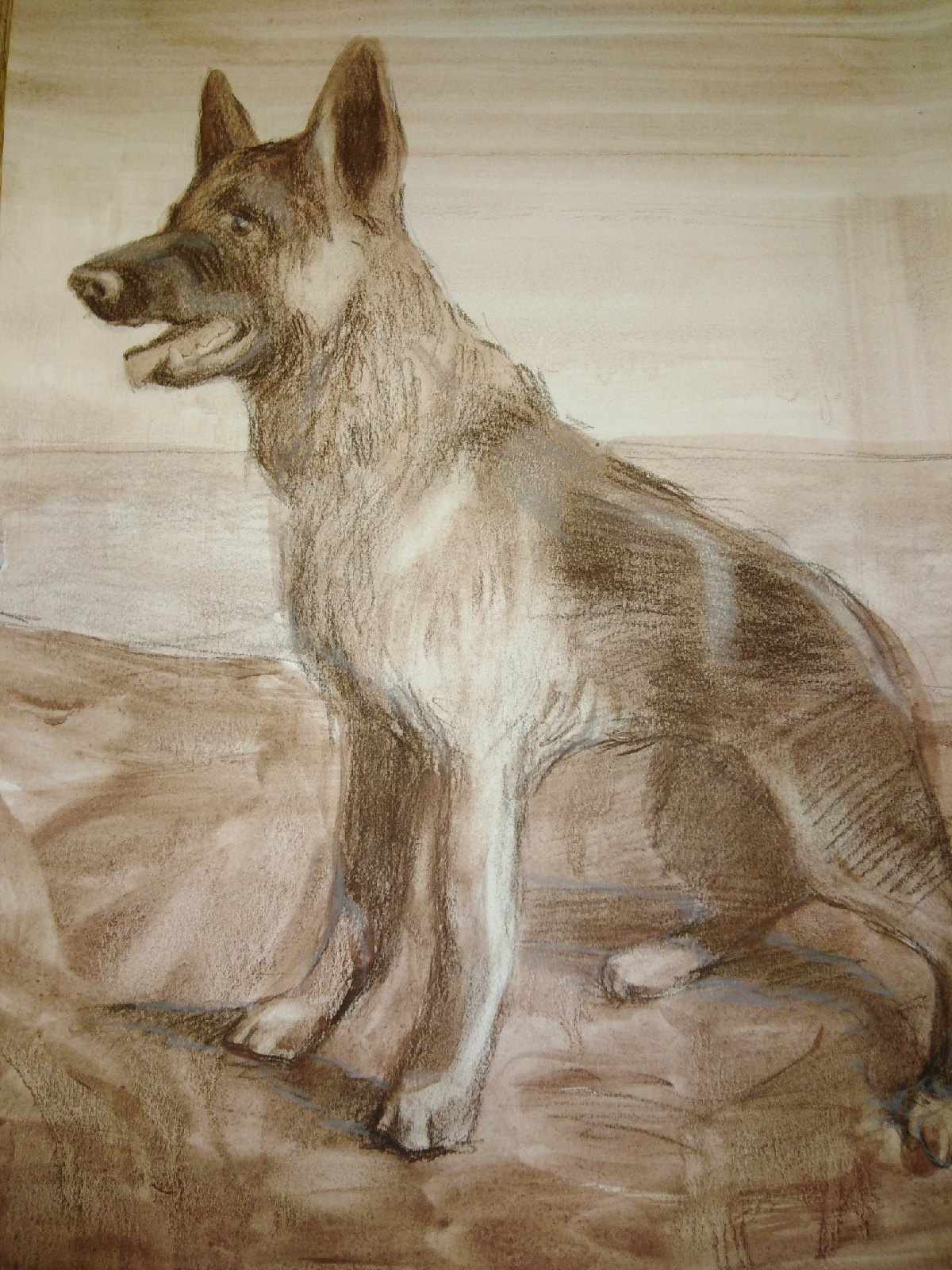 КОНКУРС ДЛЯ ЮНЫХ СОБАКОВОДОВ!!!. НРОО КЦ "Собаковод"