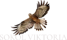 sokolvi.ru