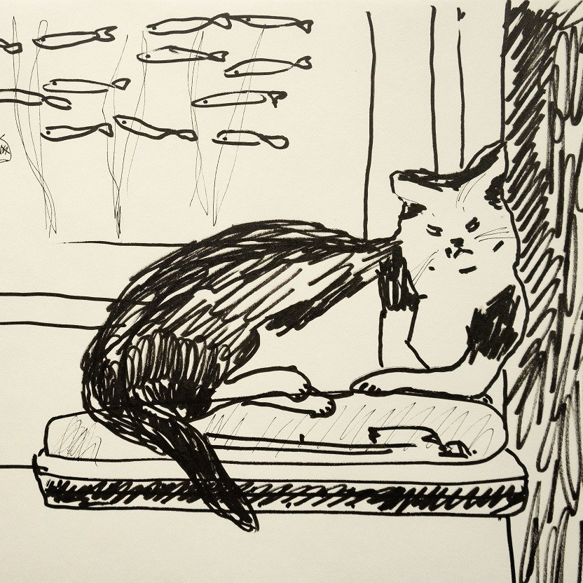 Графика (рисунки, наброски). Художник, фотограф Ирина Тен