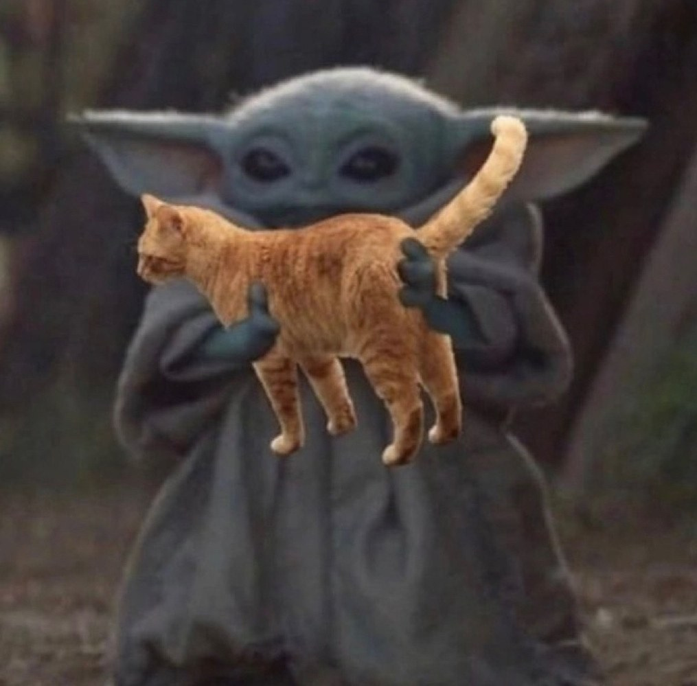 Решаю ваши вопросики. Shoroh tattoo stoodio Novosibirsk, Шорох тату студия Новосибирск