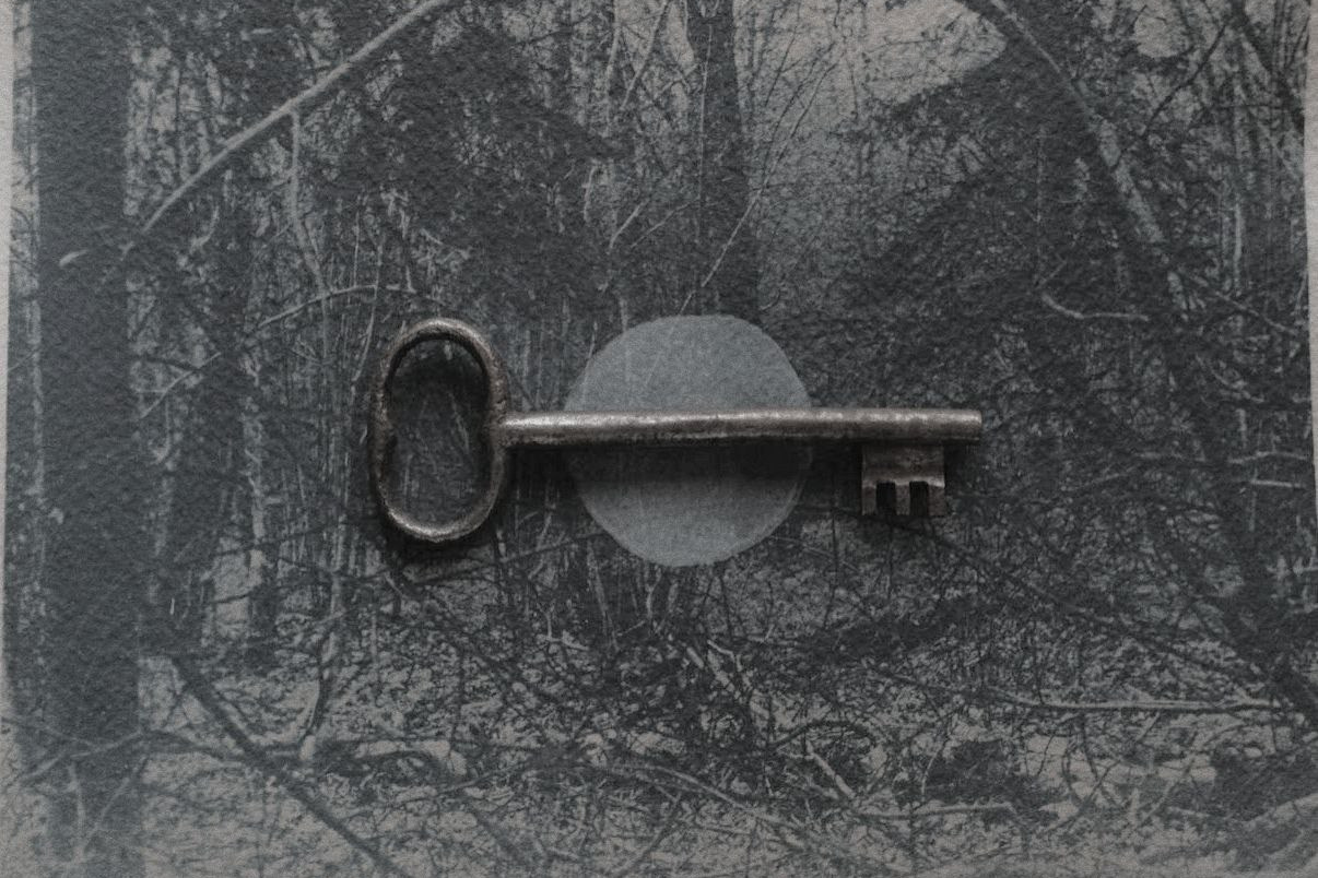 Курсы. Private image