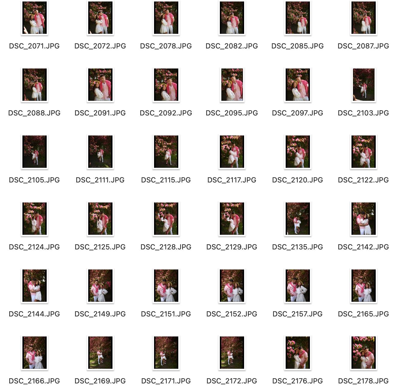 Исходники Лавстори в цветущем парке