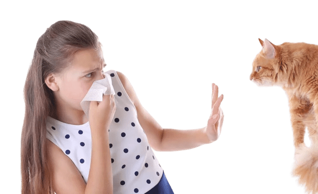 Аллергия. Как распознать первые признаки. Сово-Сово — Омоложение и оздоровление!