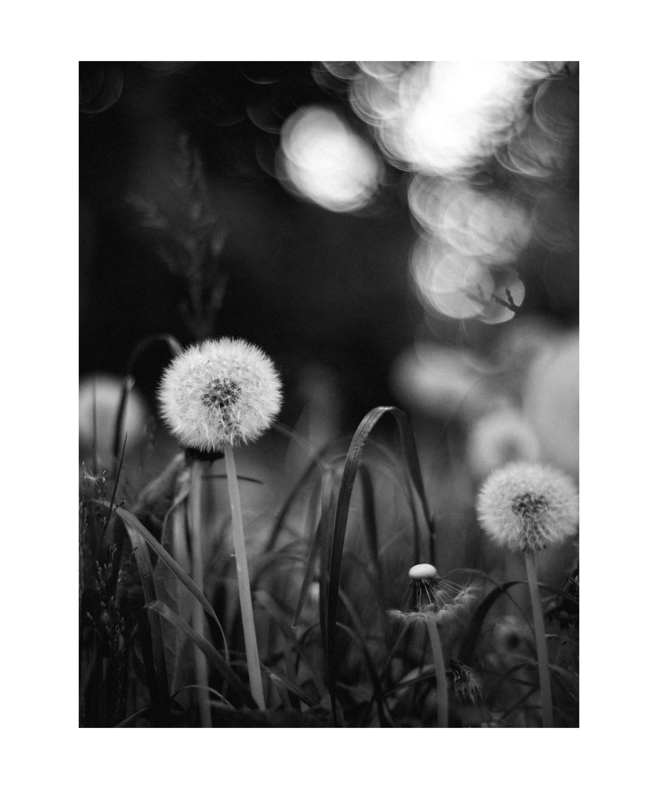 Вадим Чецкий|Портретный фотограф