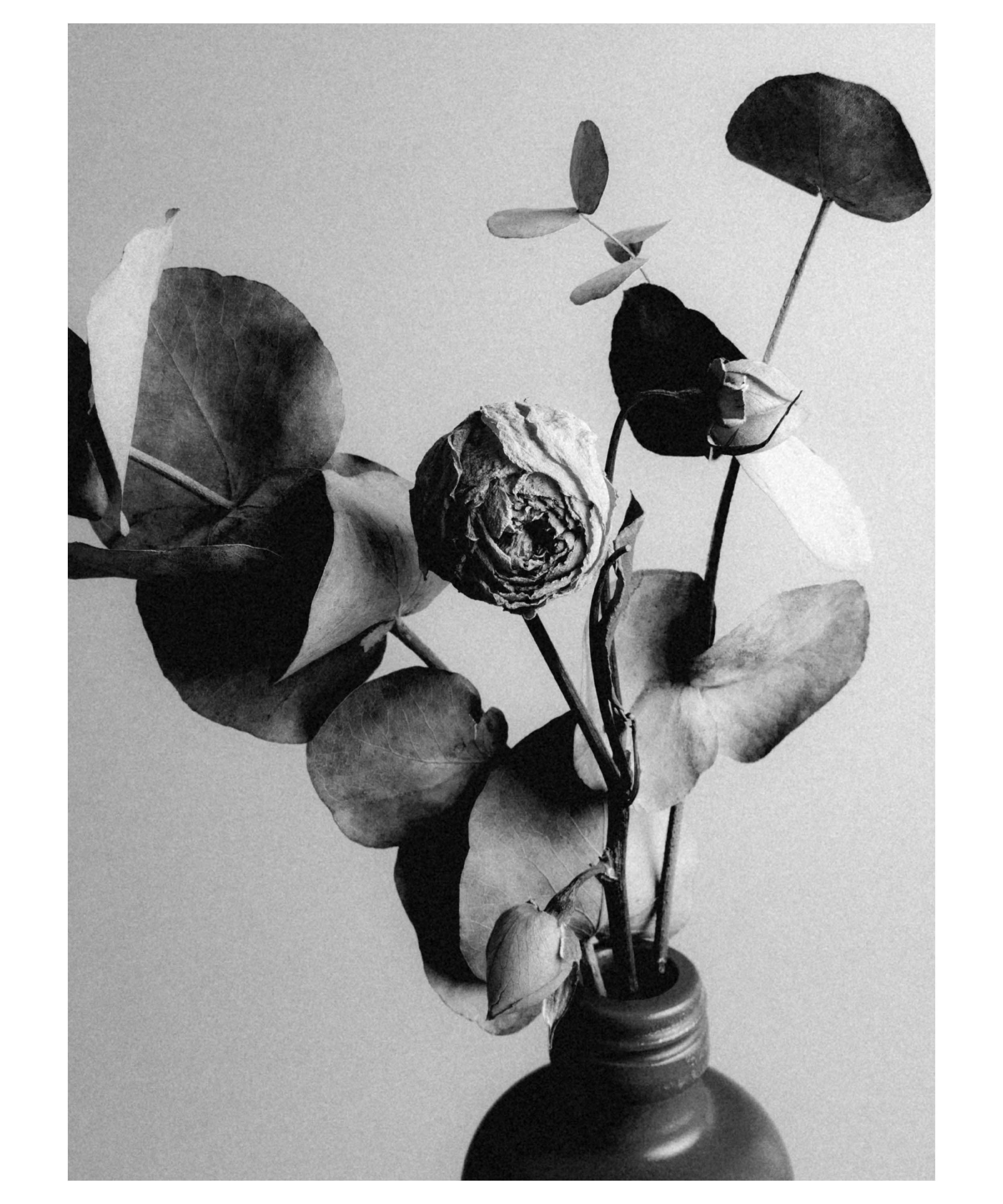 Вадим Чецкий|Портретный фотограф