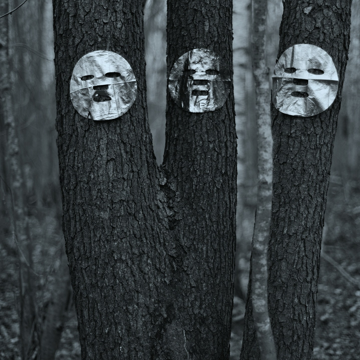 Серии и Проекты. Катерина Михеева