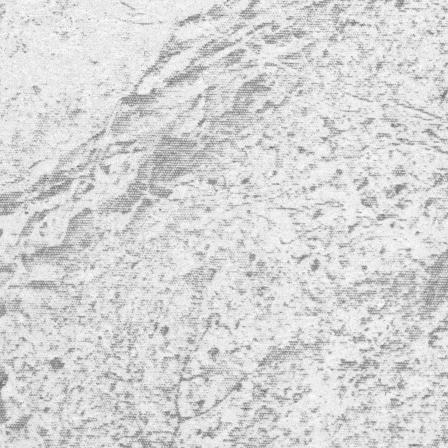 Лаборатория художника. Private image