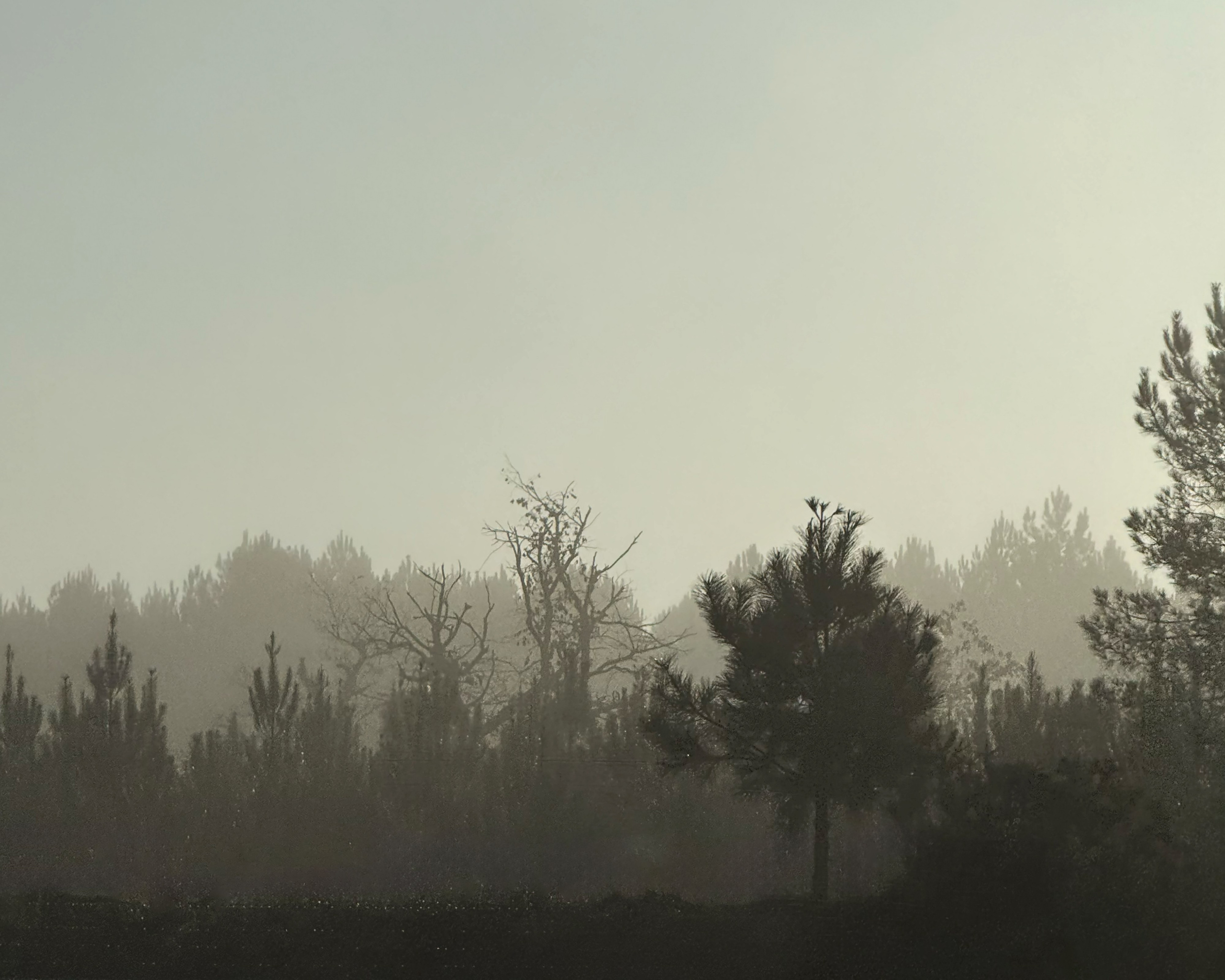 Светлана Константинова. ARTEXPOPHOTO