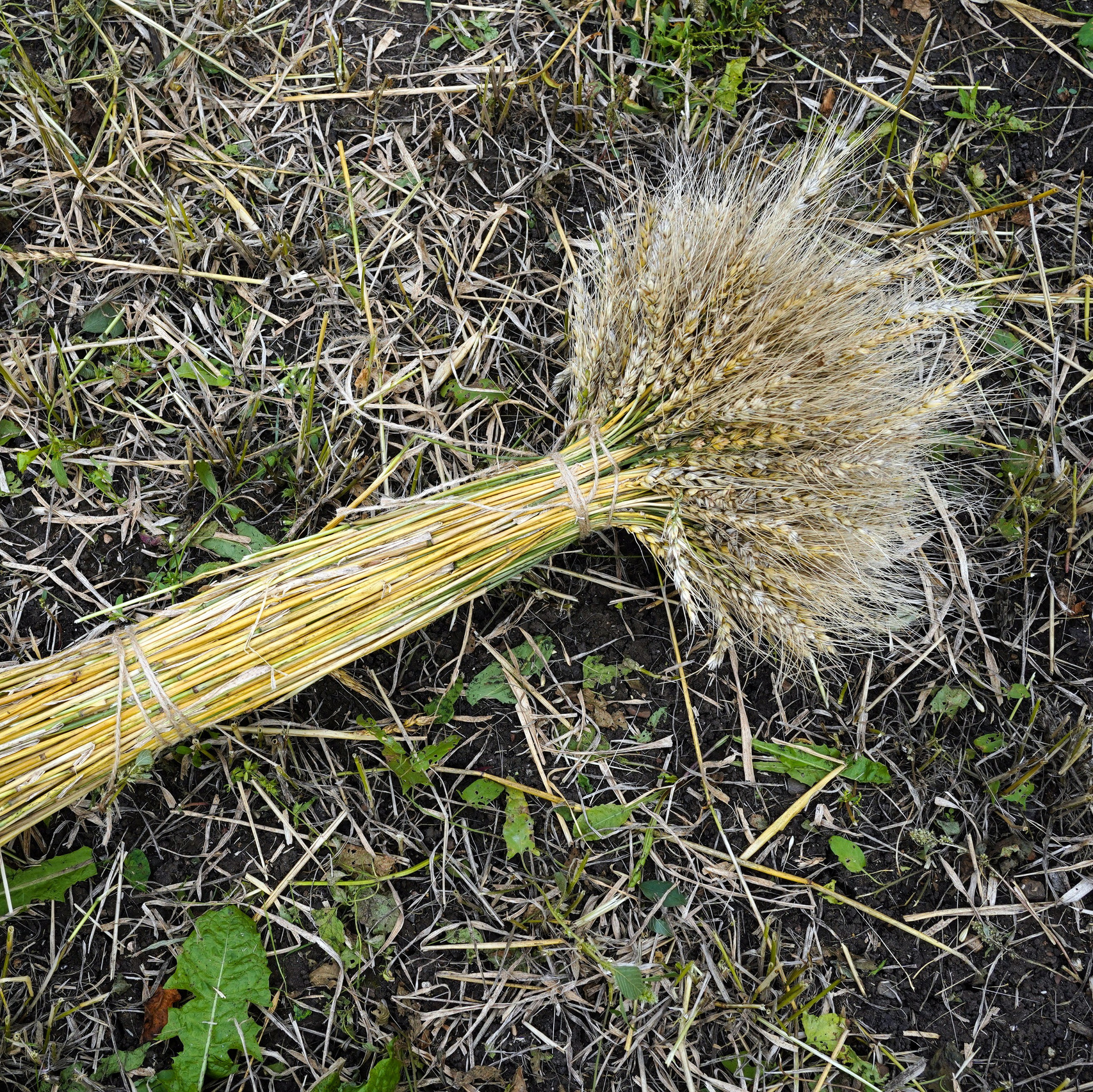 Выставка Рабочий рай 30.09 — 30.12.2024