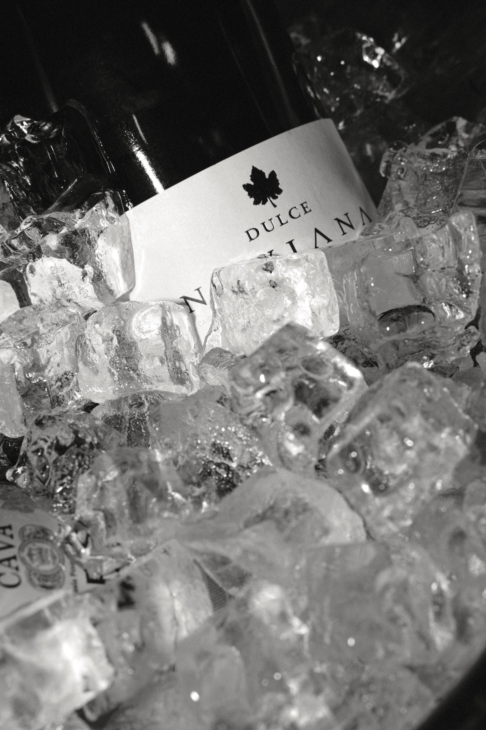 Услуги. MK Event — организация мероприятий в Екатеринбурге