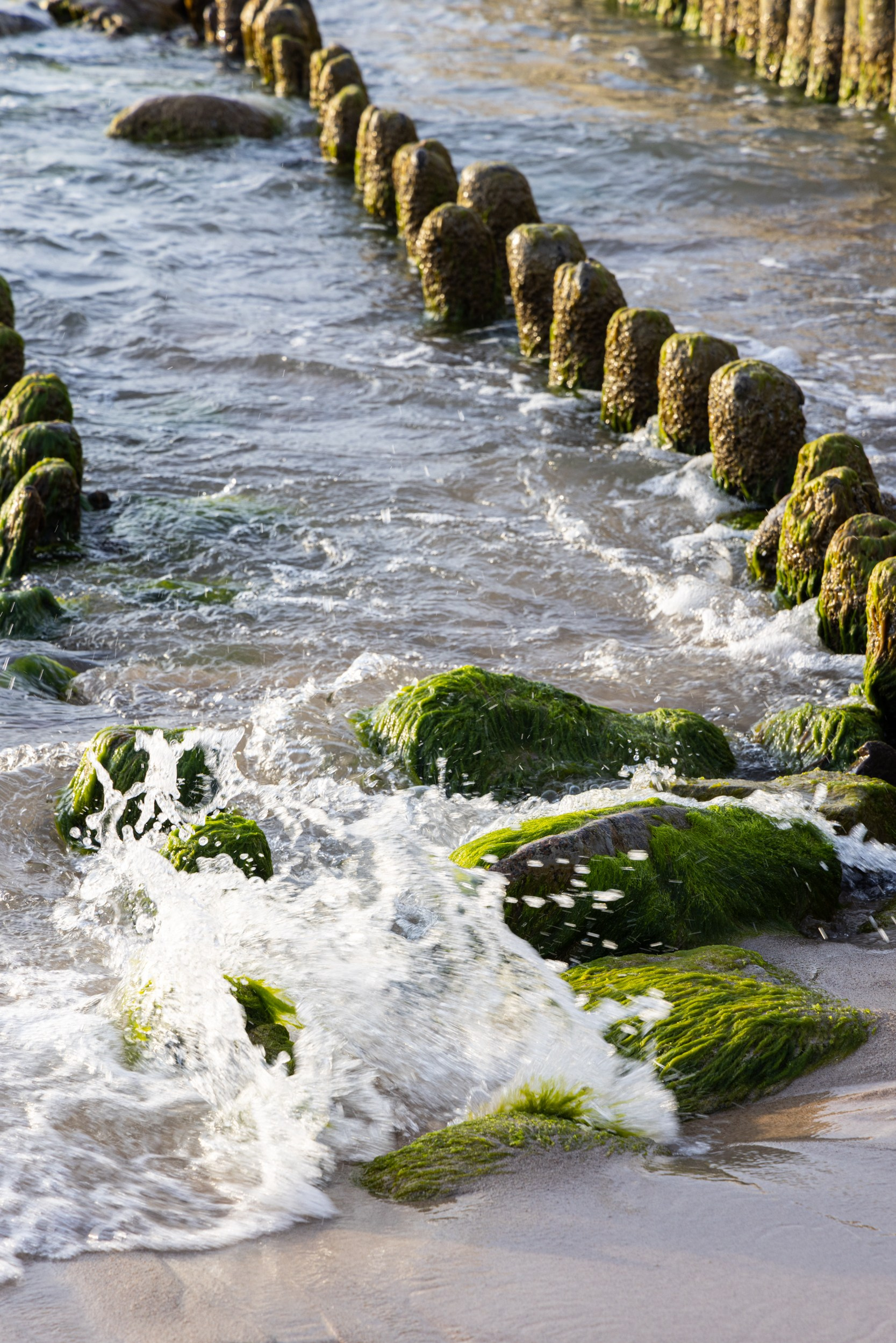 Продажа фото-постеров. Фотосъемка для вашего бизнеса в Челябинске
