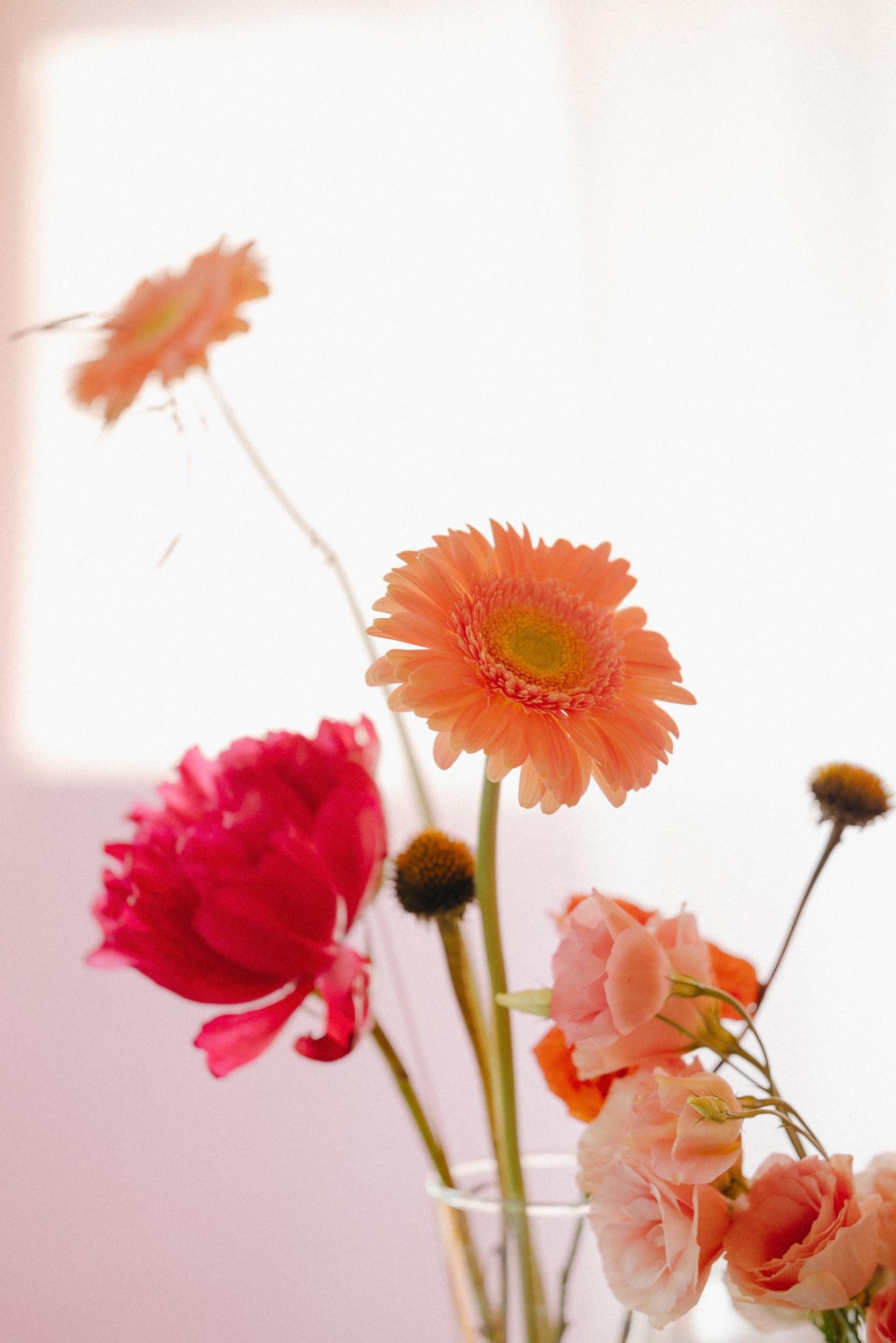 Свадебное агентство «Всё Серьёзно»