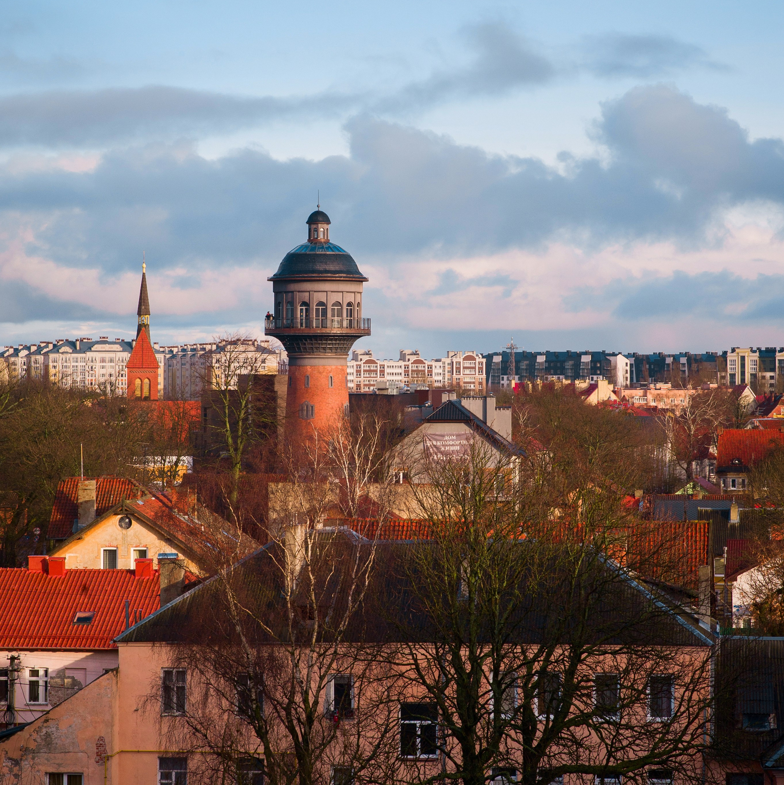 Портфолио. Фотограф Вера Демидкова