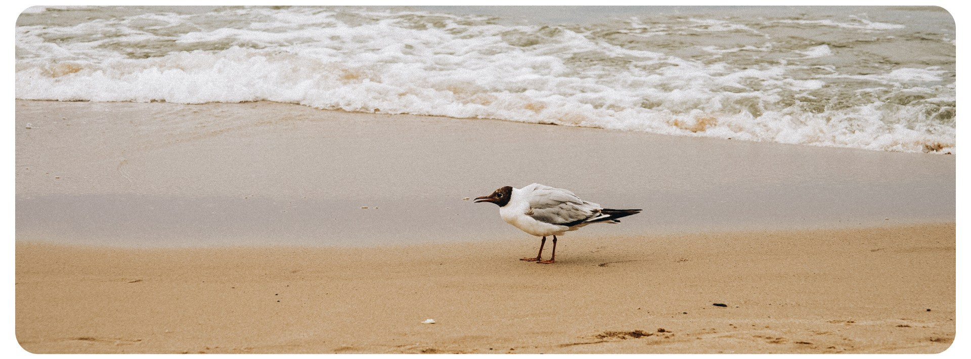 Калининград 1. Фотограф из Москвы — DASHA NOVA | Авторская фотография в разных жанрах