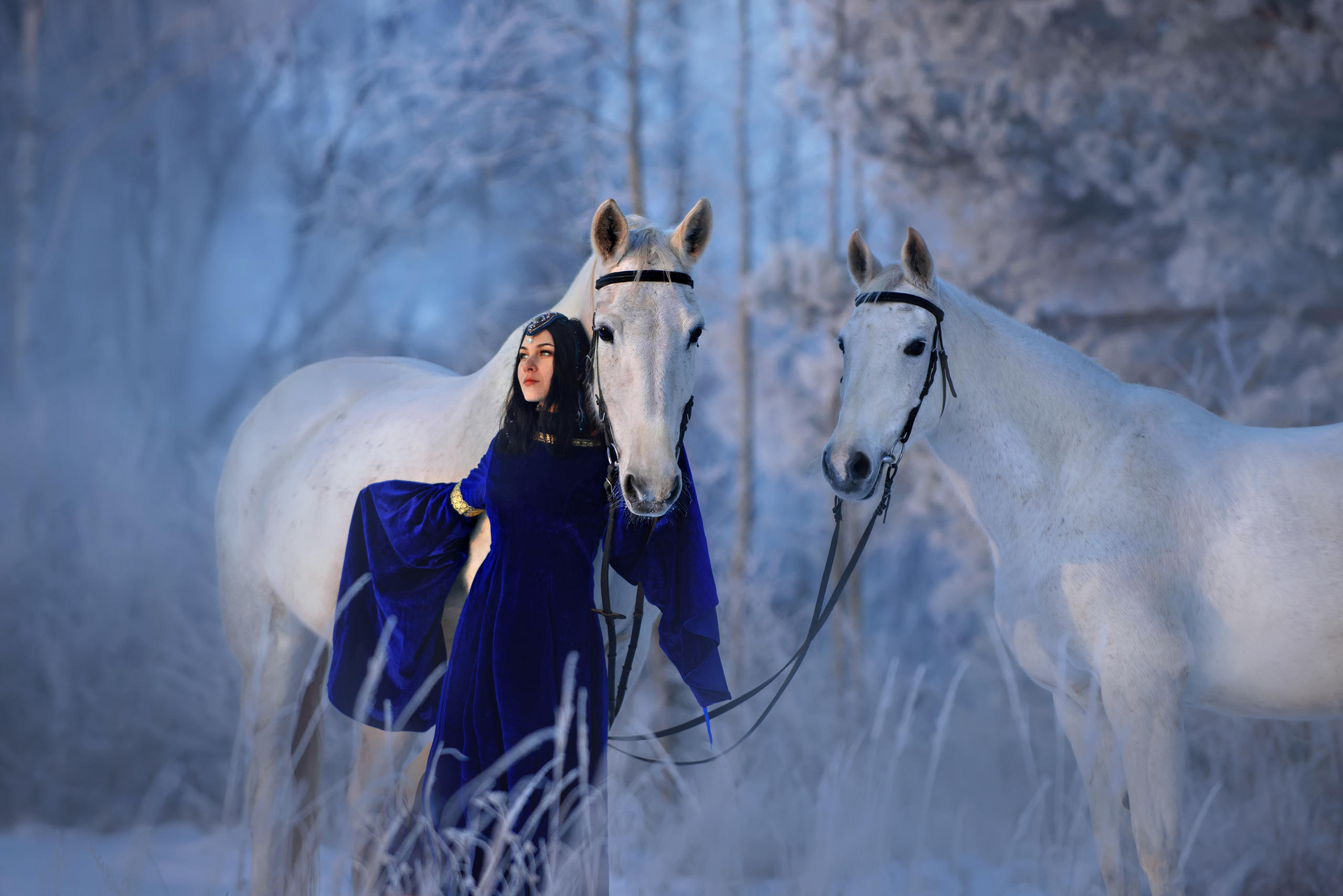 Доступные костюмы. Фотограф Вероника Ранцева, фотосессии с лошадьми в Минске и Могилеве