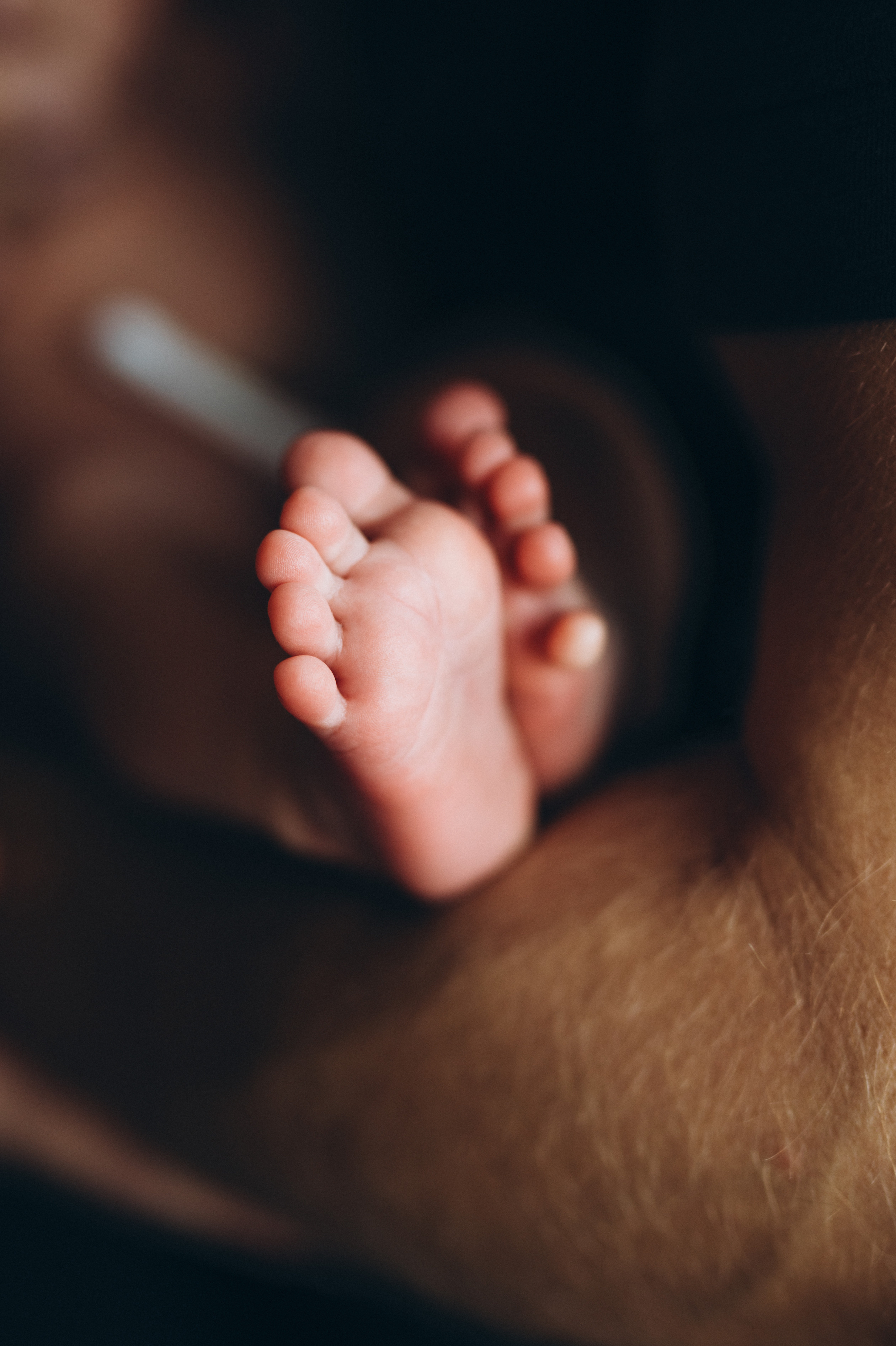 Профессиональный фотограф в Москве Светлана Скрипник