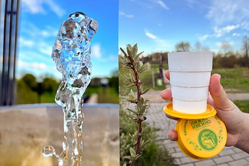 ЛЕЧЕБНЫЕ И ОЗДОРОВИТЕЛЬНЫЕ ПРОГРАММЫ. Санаторий Нижне-Ивкино