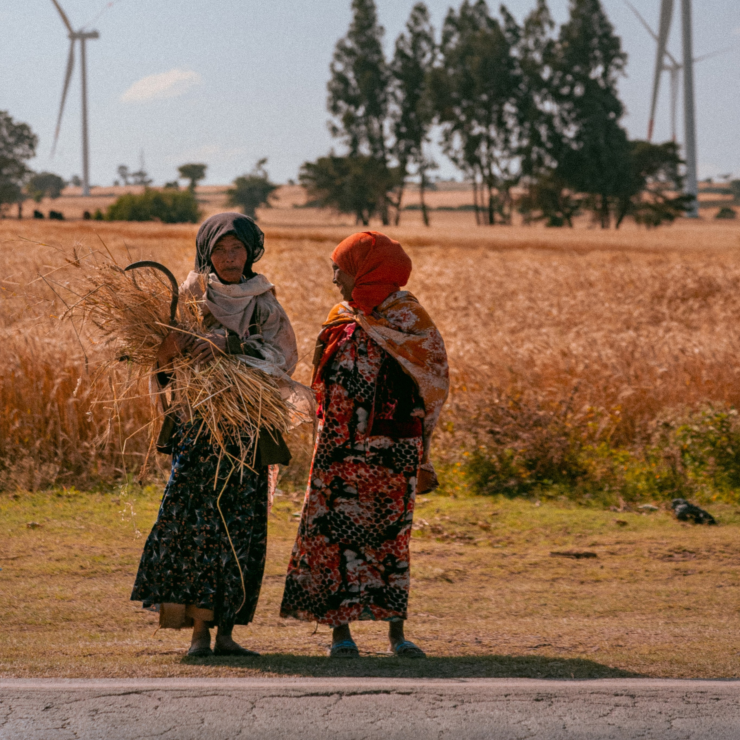 Плато жизни: Эфиопское нагорье. Юля Дэй • Фотограф, Санкт-Петербург