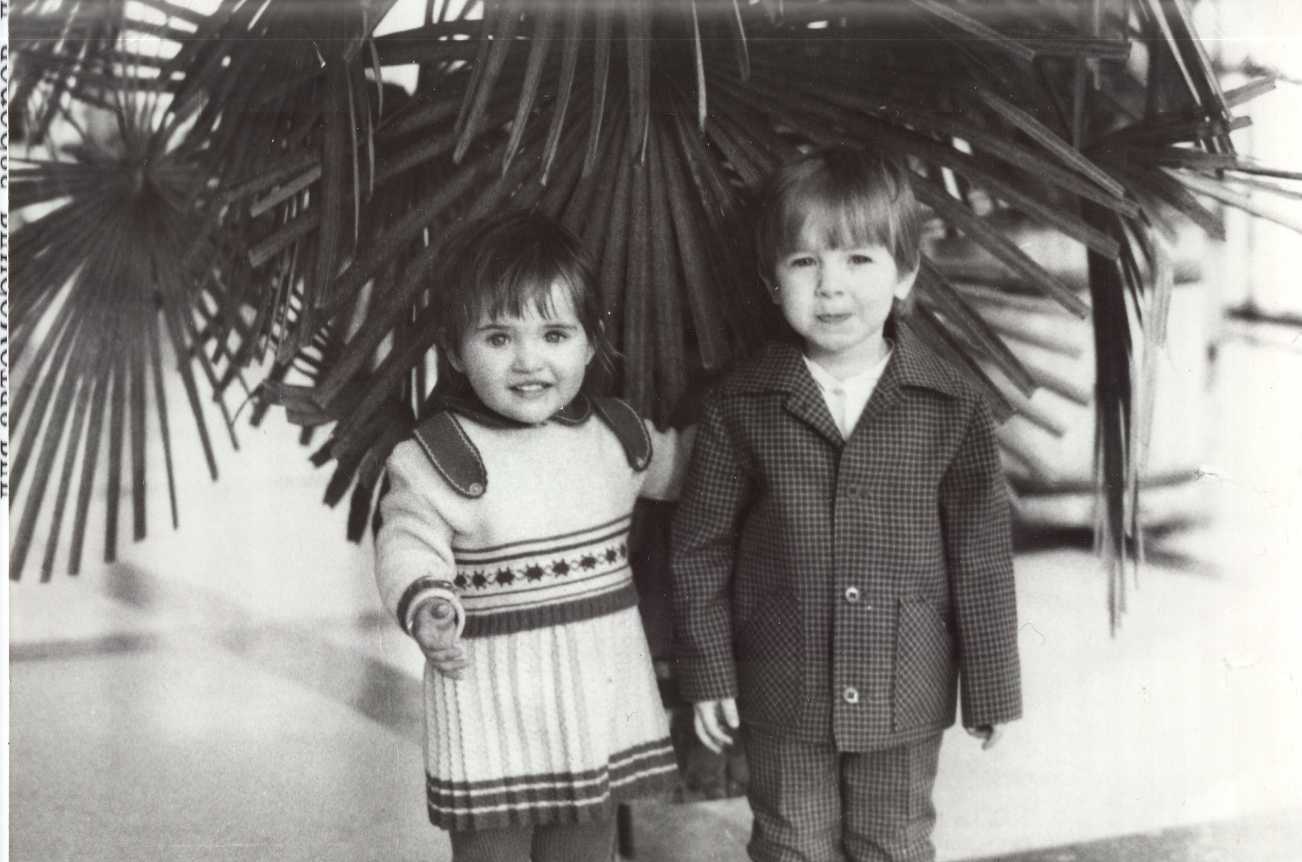 Фотография с пальмой. Курортное дело