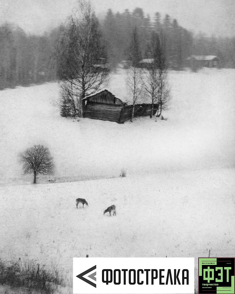 Альбом 22.03.26 в рамках ФЭТ